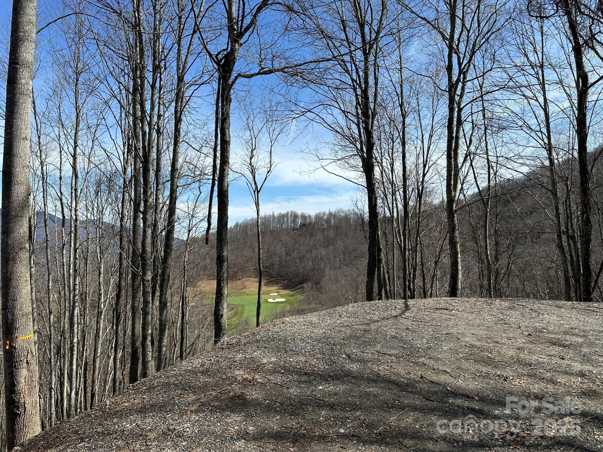 142 Old Growth Way #58 - Photo 8