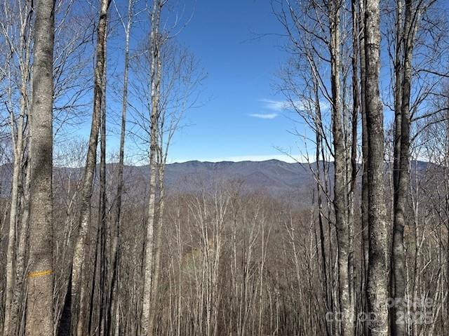 142 Old Growth Way #58 - Photo 9