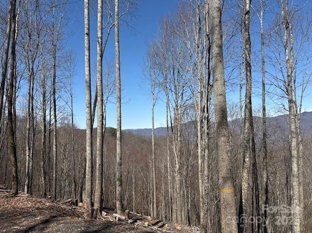 142 Old Growth Way #58 - Photo 10