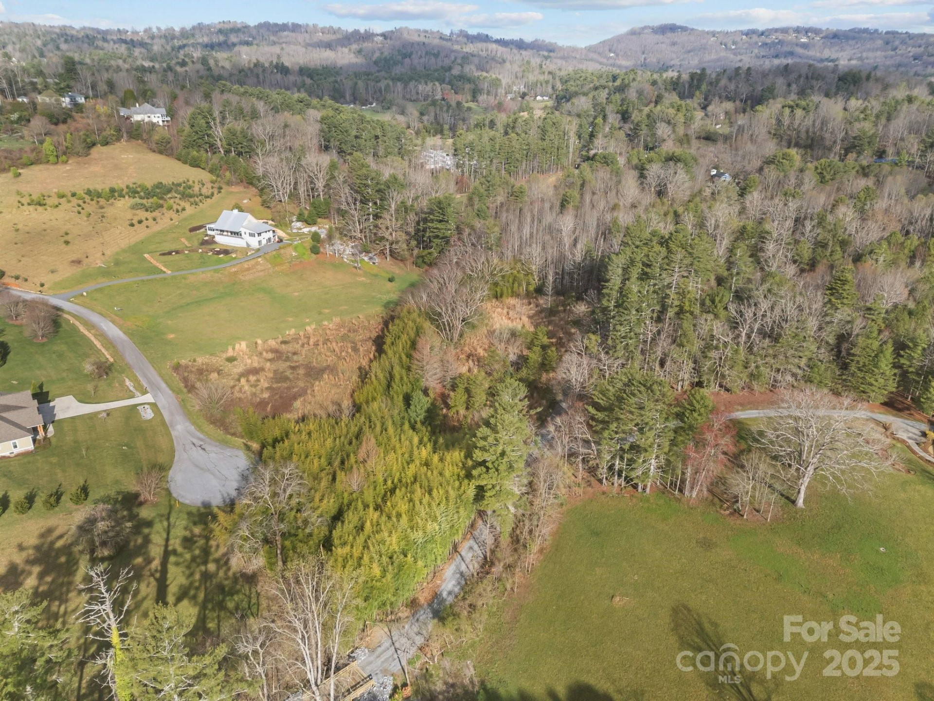 425 Nelson Valley Lane - Photo 11