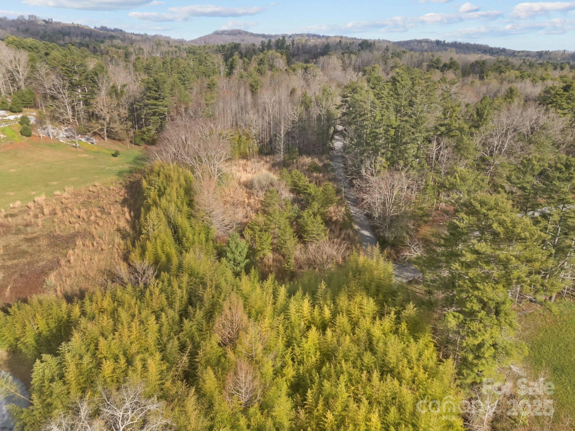 425 Nelson Valley Lane - Photo 12