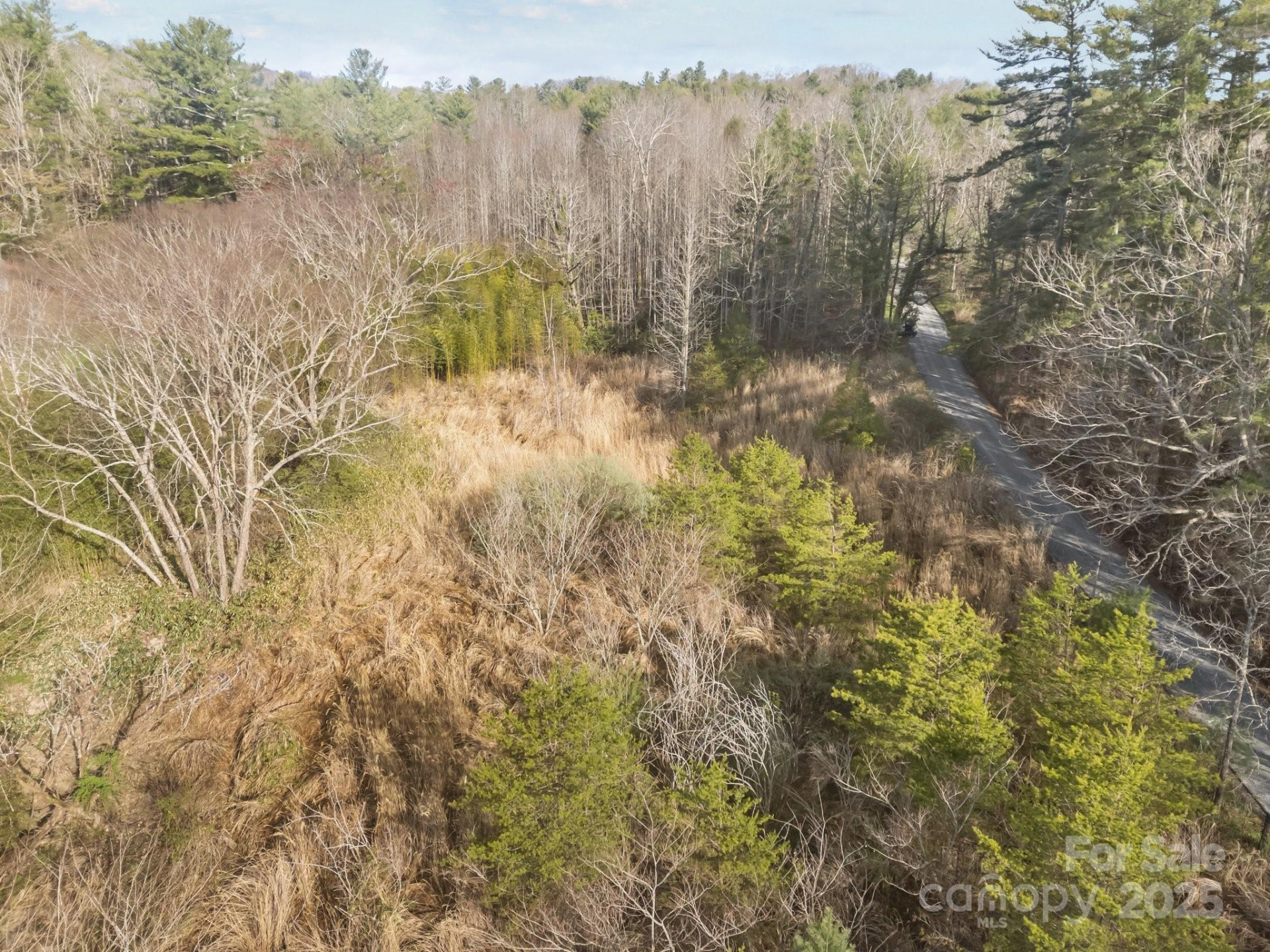 425 Nelson Valley Lane - Photo 17