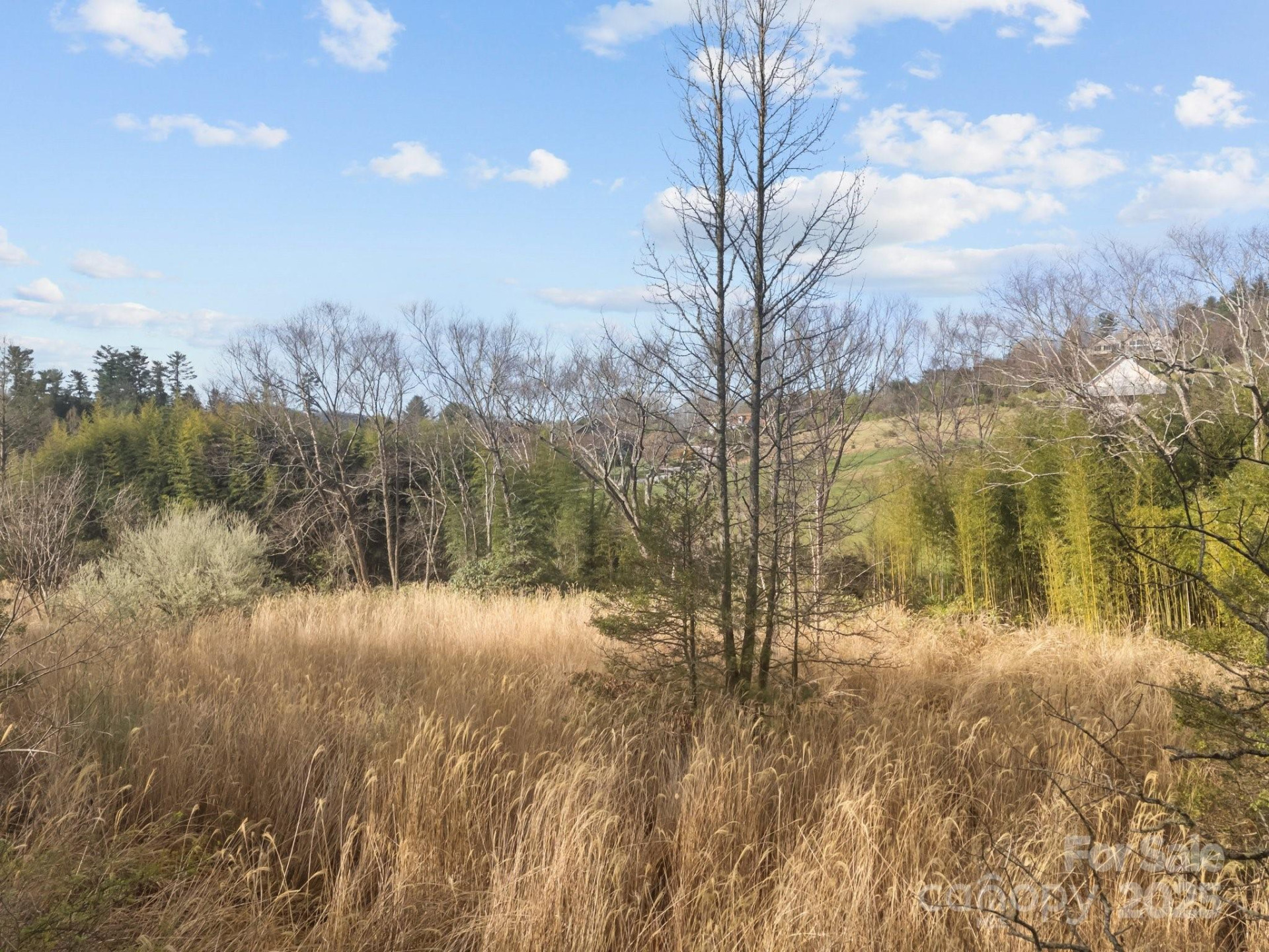 425 Nelson Valley Lane - Photo 6