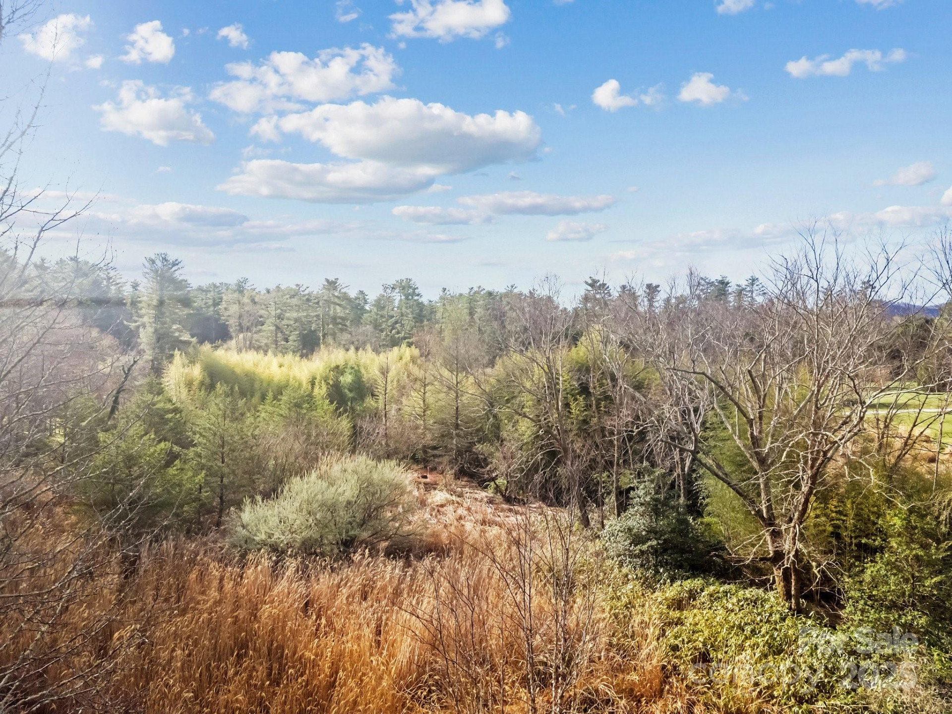 425 Nelson Valley Lane - Photo 7