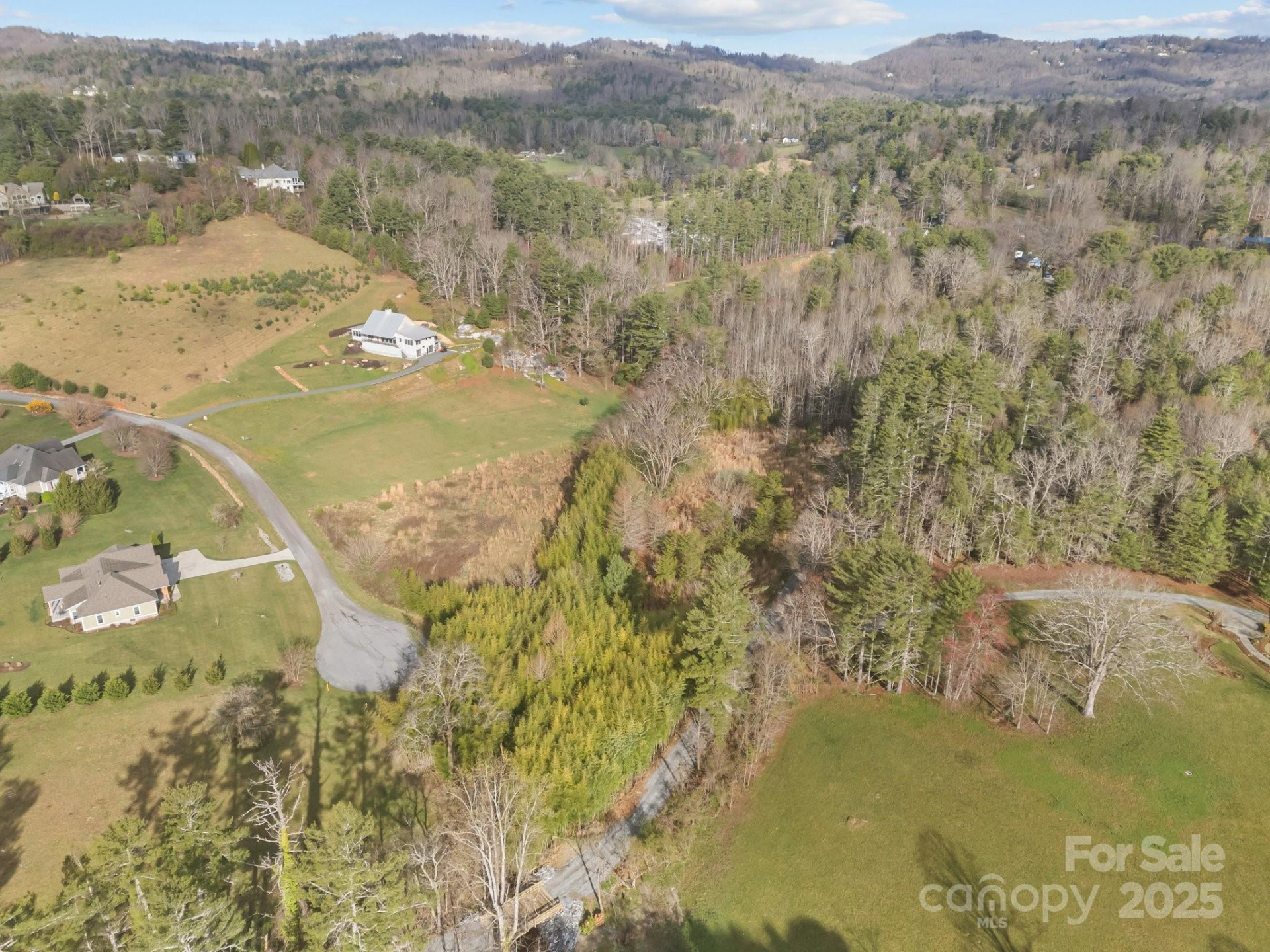 425 Nelson Valley Lane - Photo 10