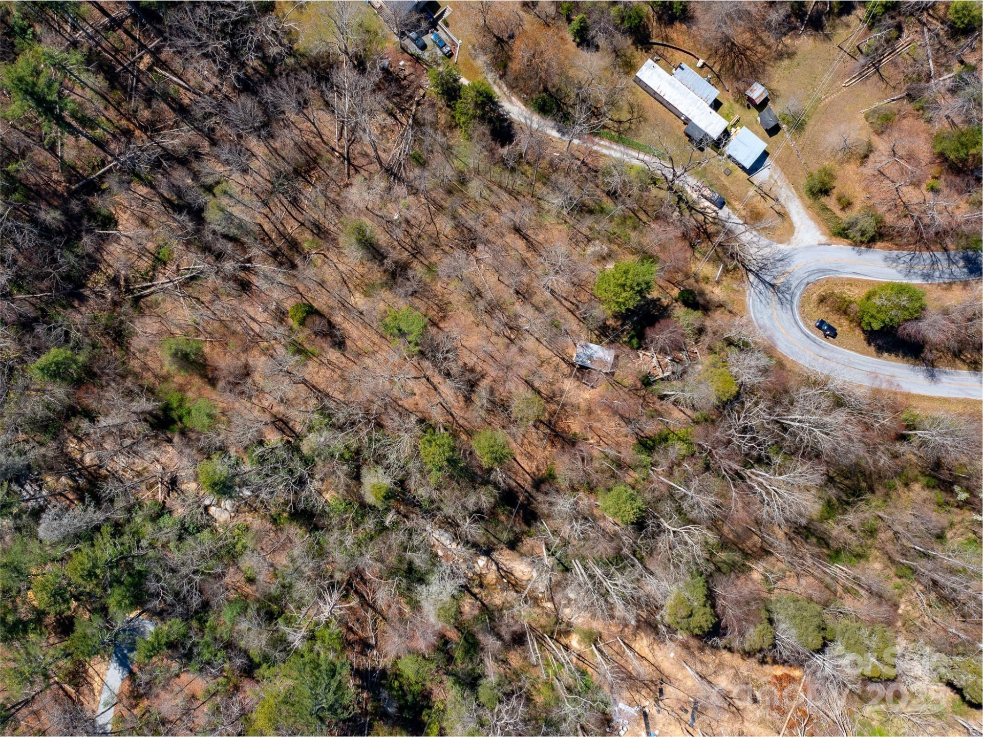 8099 Howard Gap Road - Photo 11