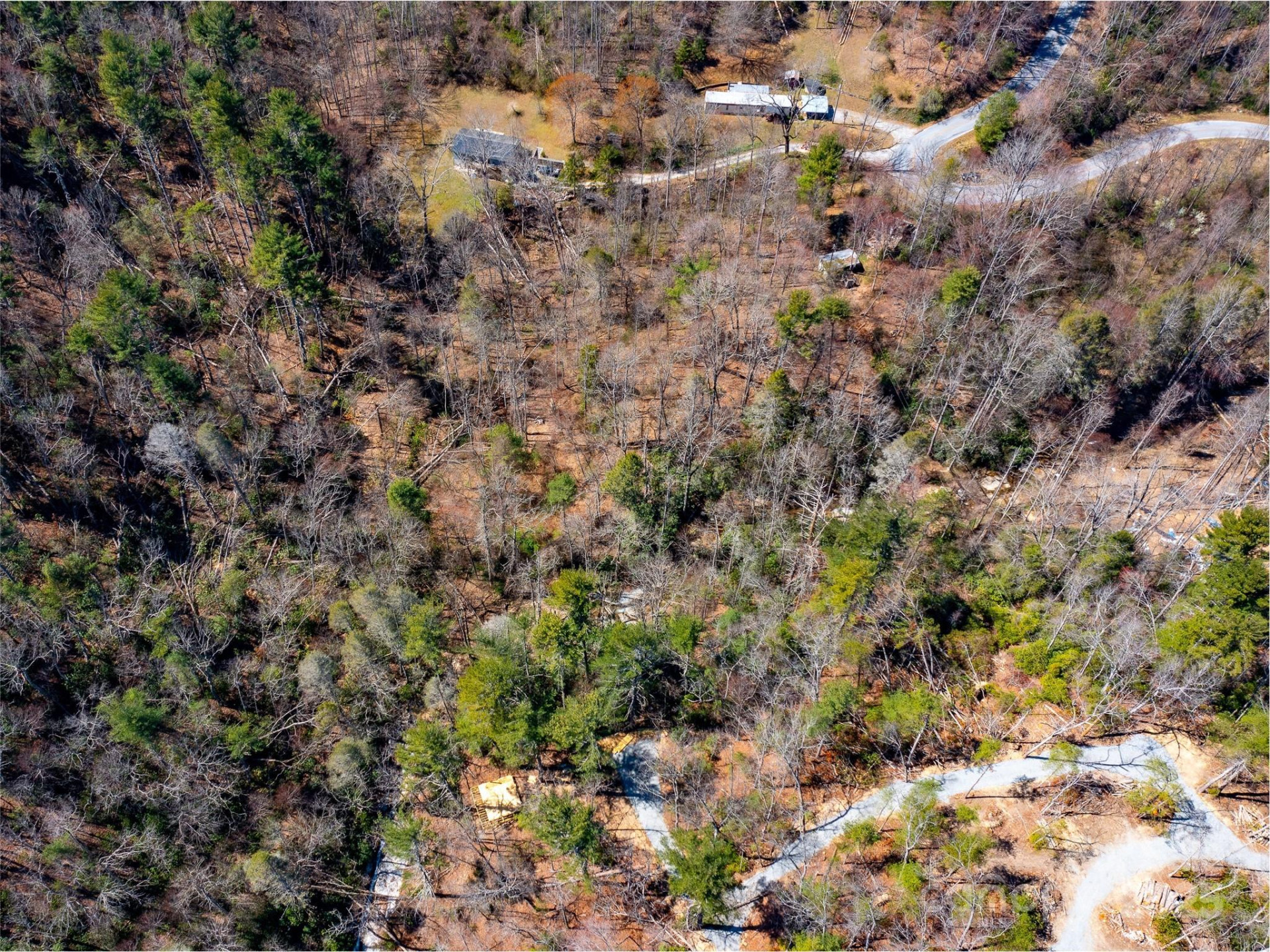 8099 Howard Gap Road - Photo 12