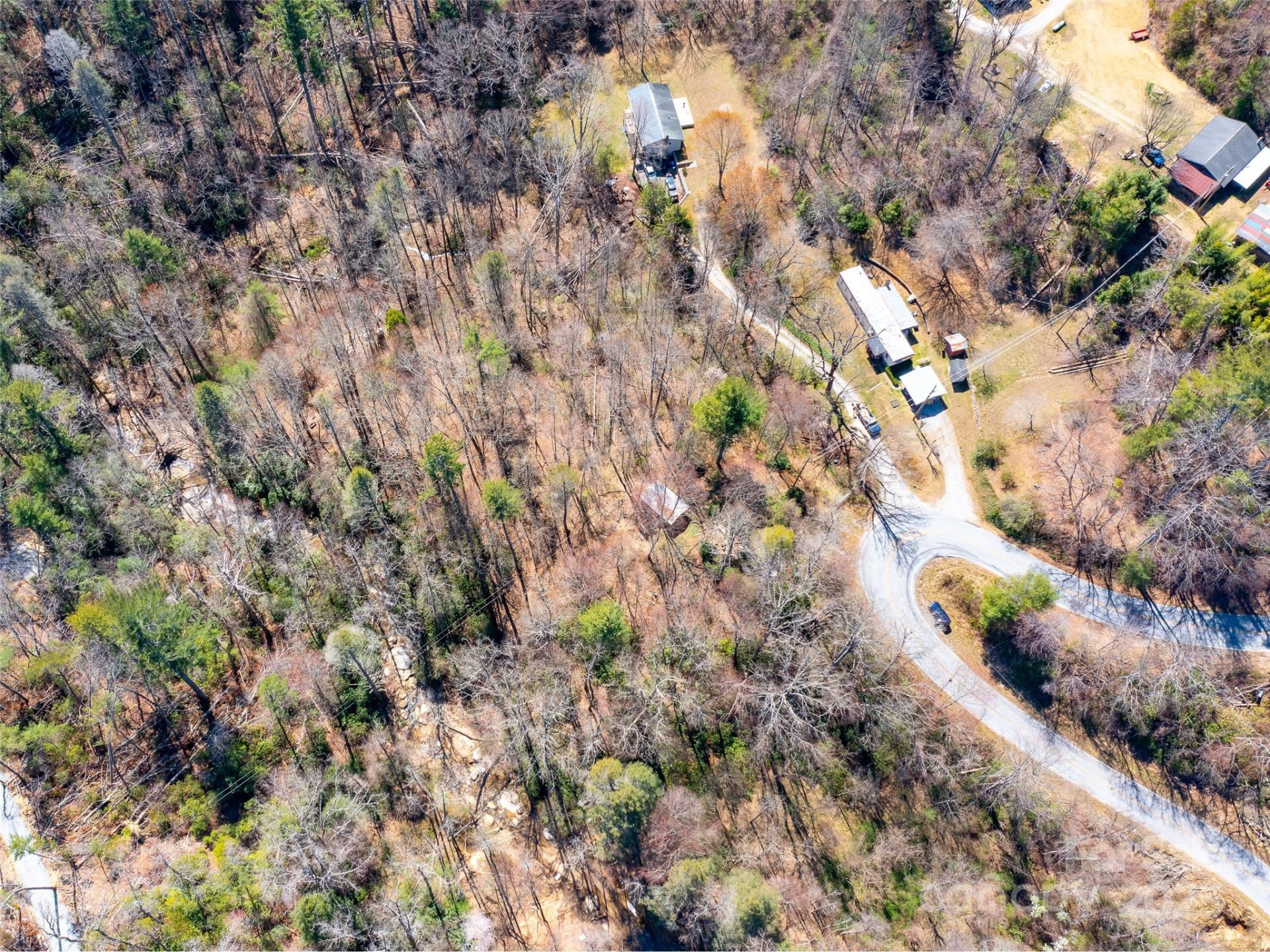 8099 Howard Gap Road - Photo 13