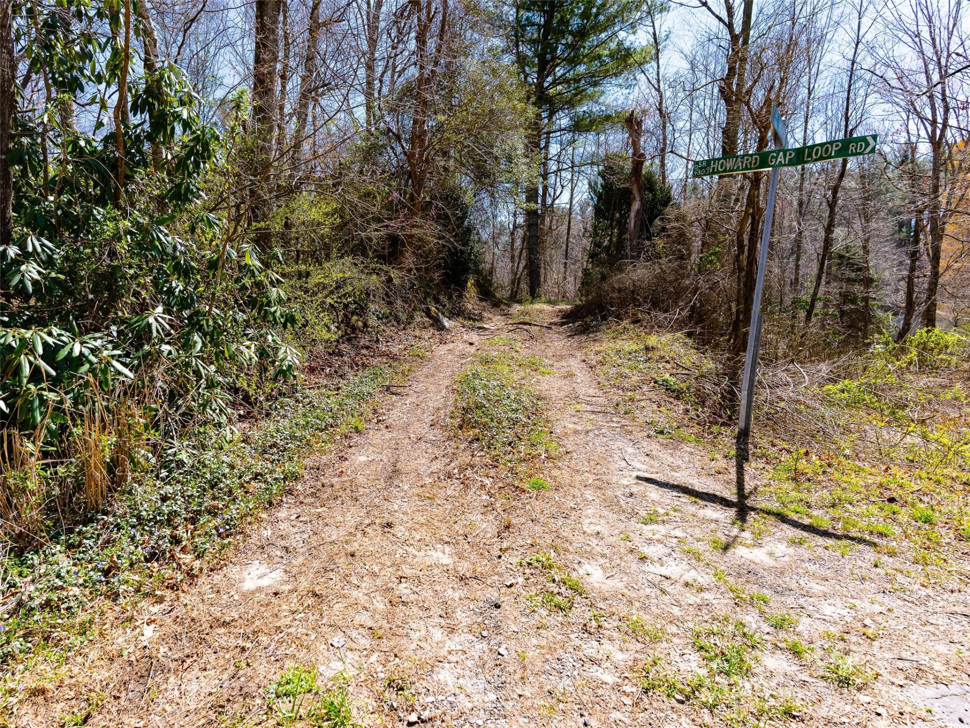 8099 Howard Gap Road - Photo 14