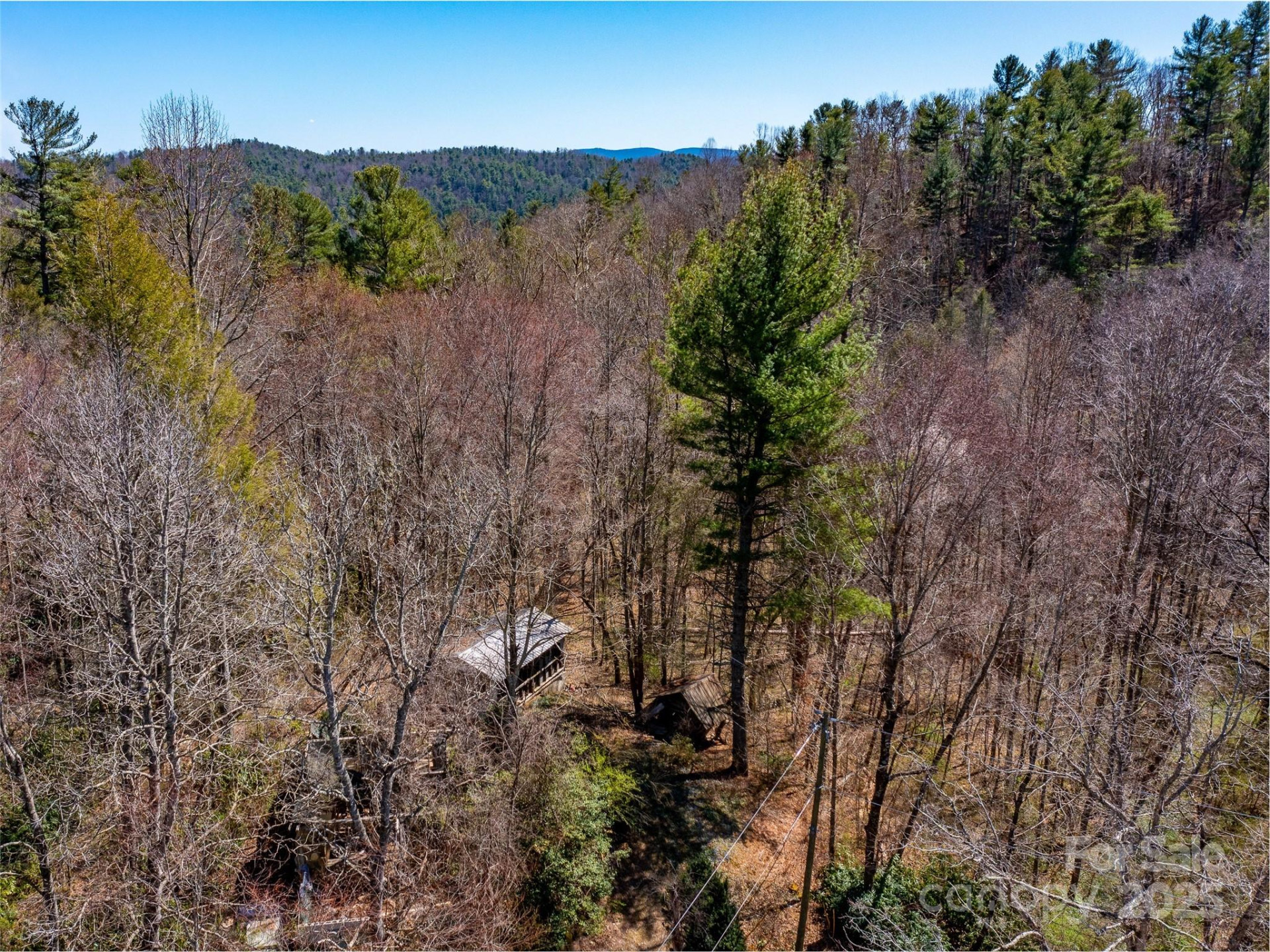 8099 Howard Gap Road - Photo 18