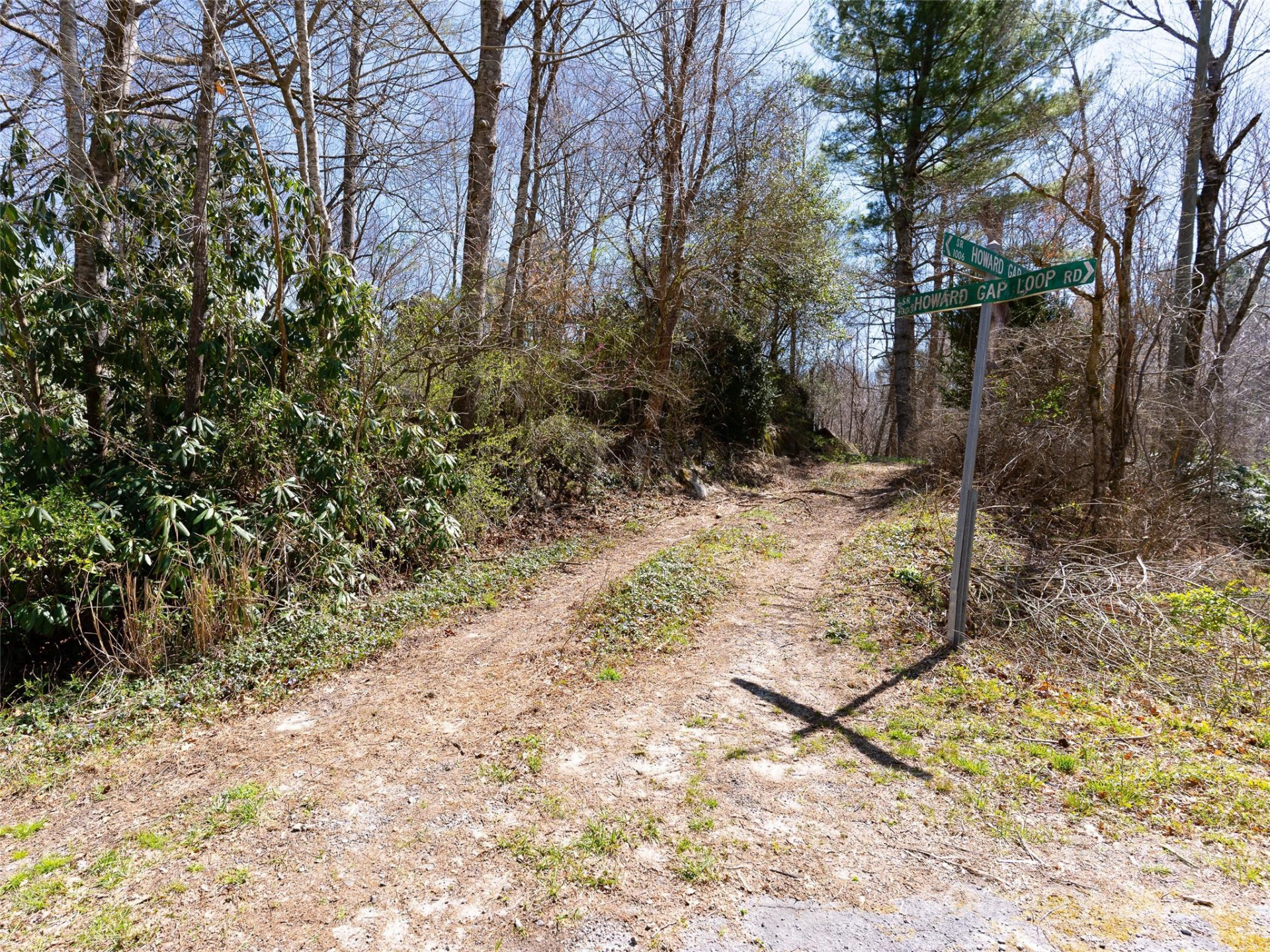 8099 Howard Gap Road - Photo 3