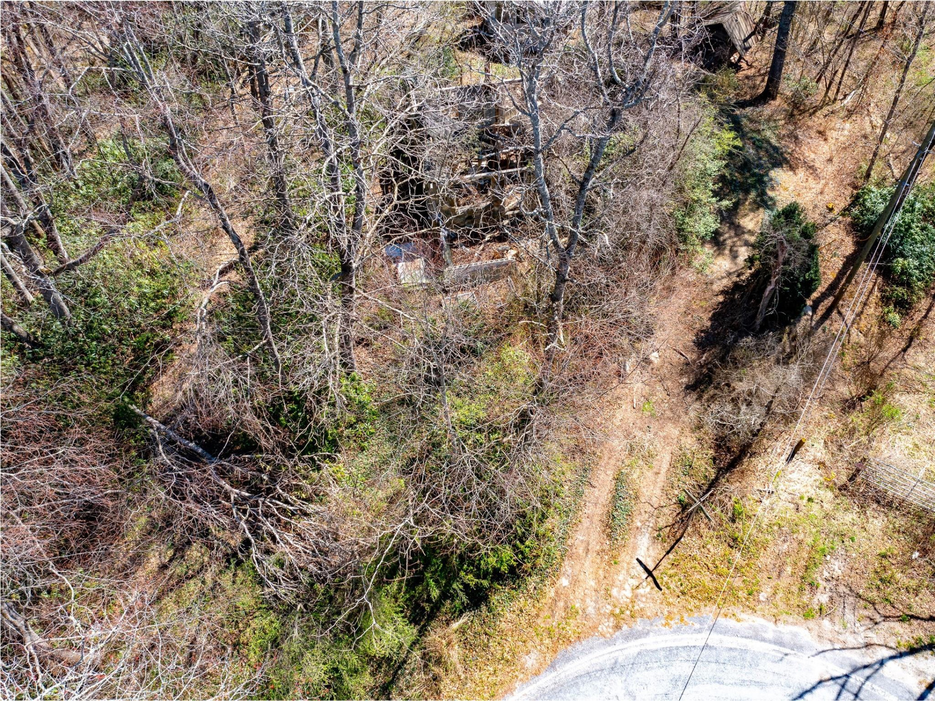 8099 Howard Gap Road - Photo 4