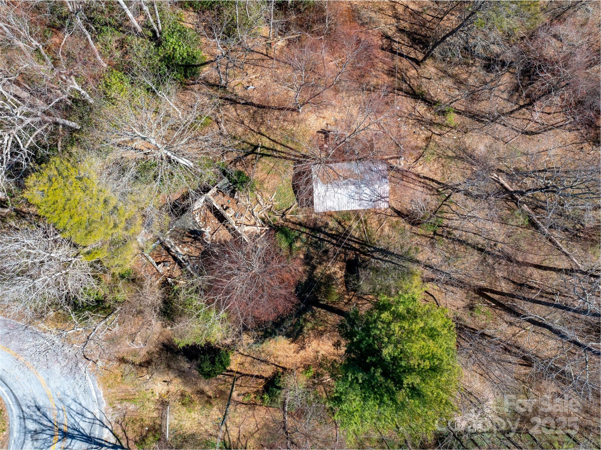 8099 Howard Gap Road - Photo 5