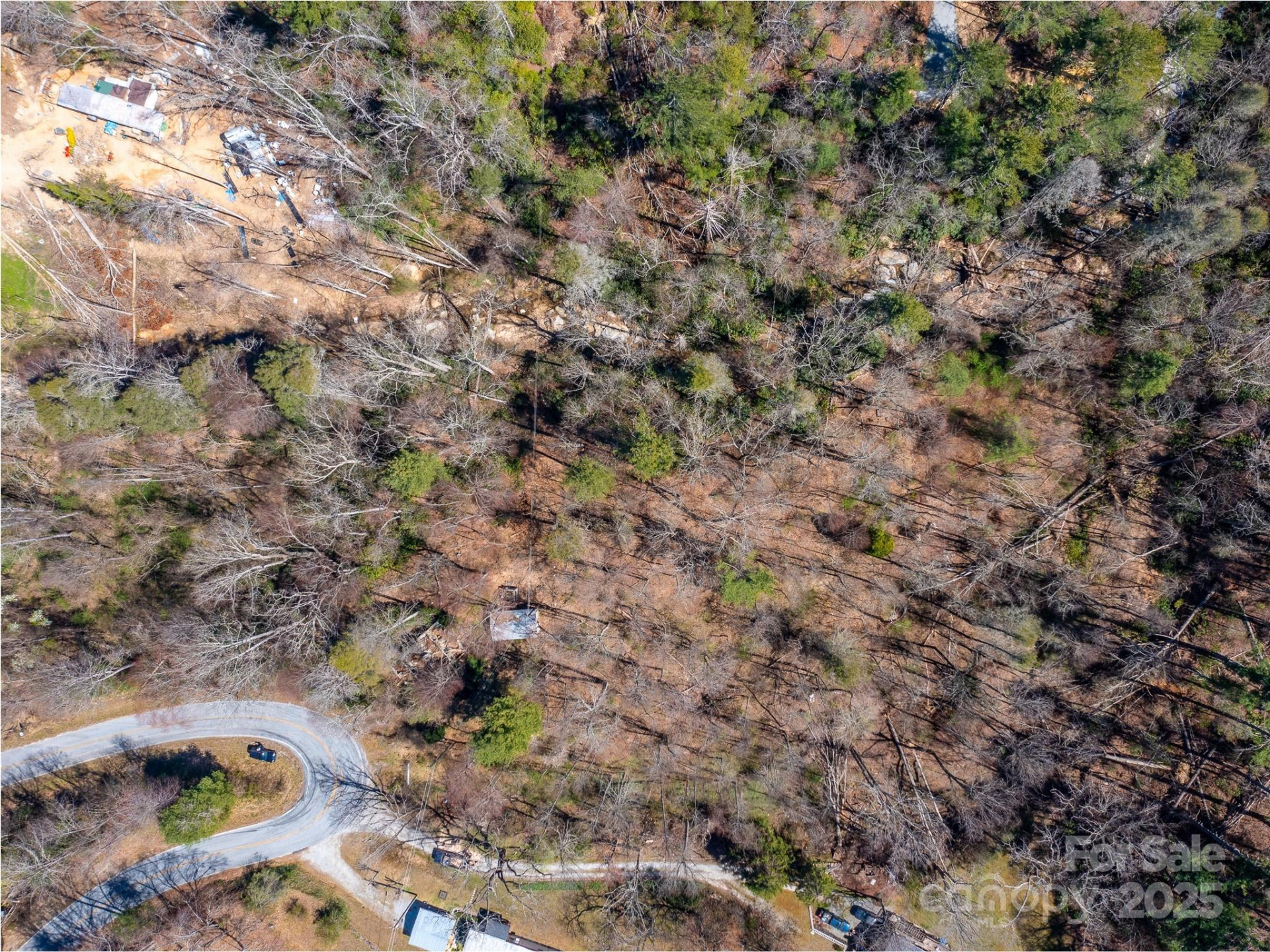 8099 Howard Gap Road - Photo 6