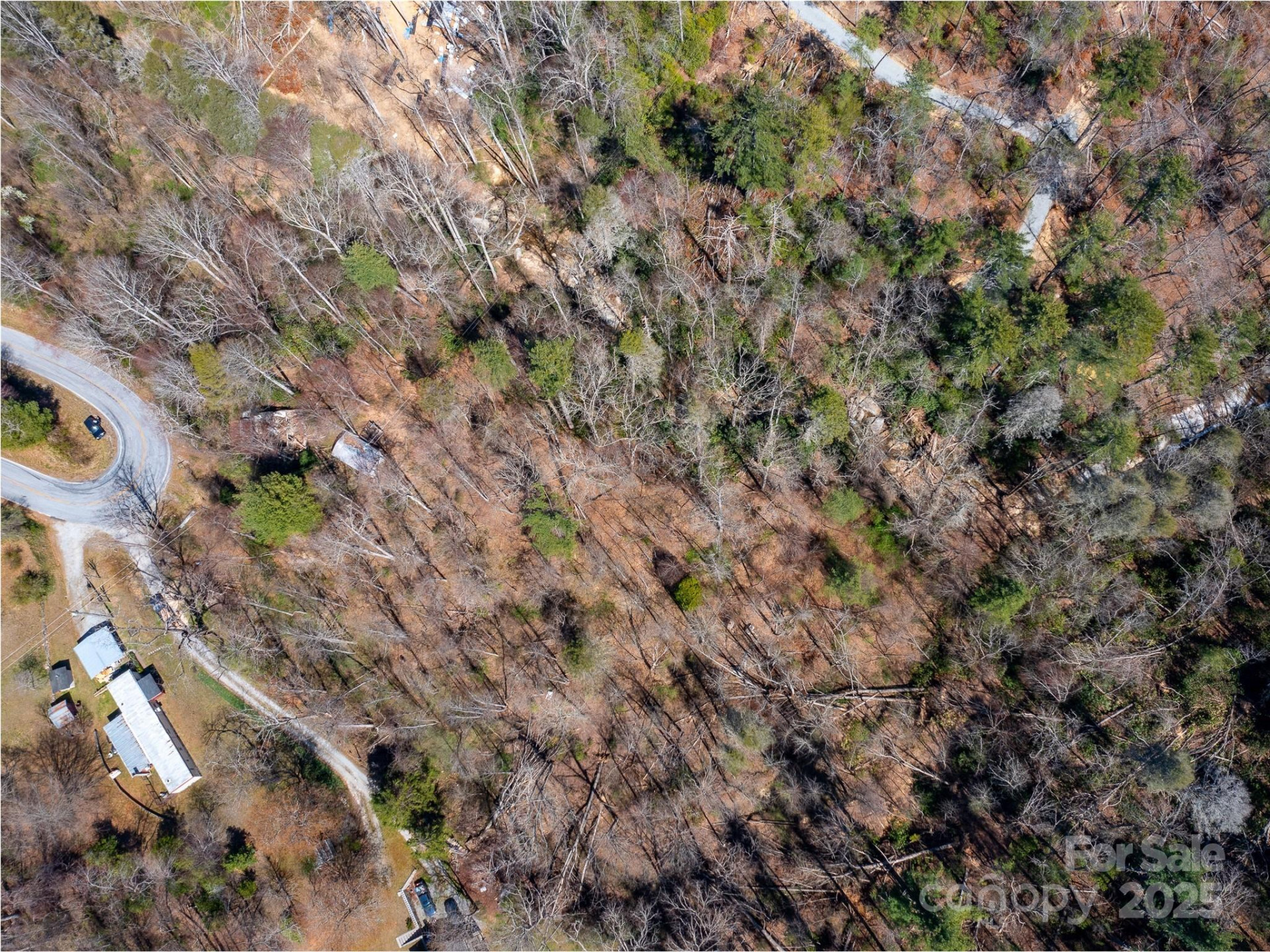 8099 Howard Gap Road - Photo 7