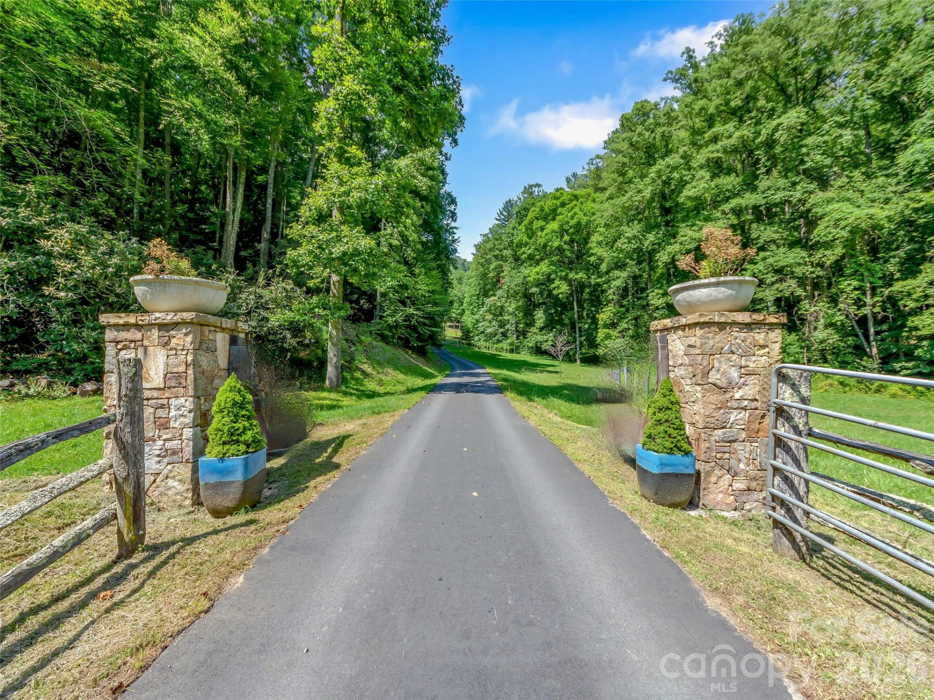 384 Doan Town Road - Photo 5