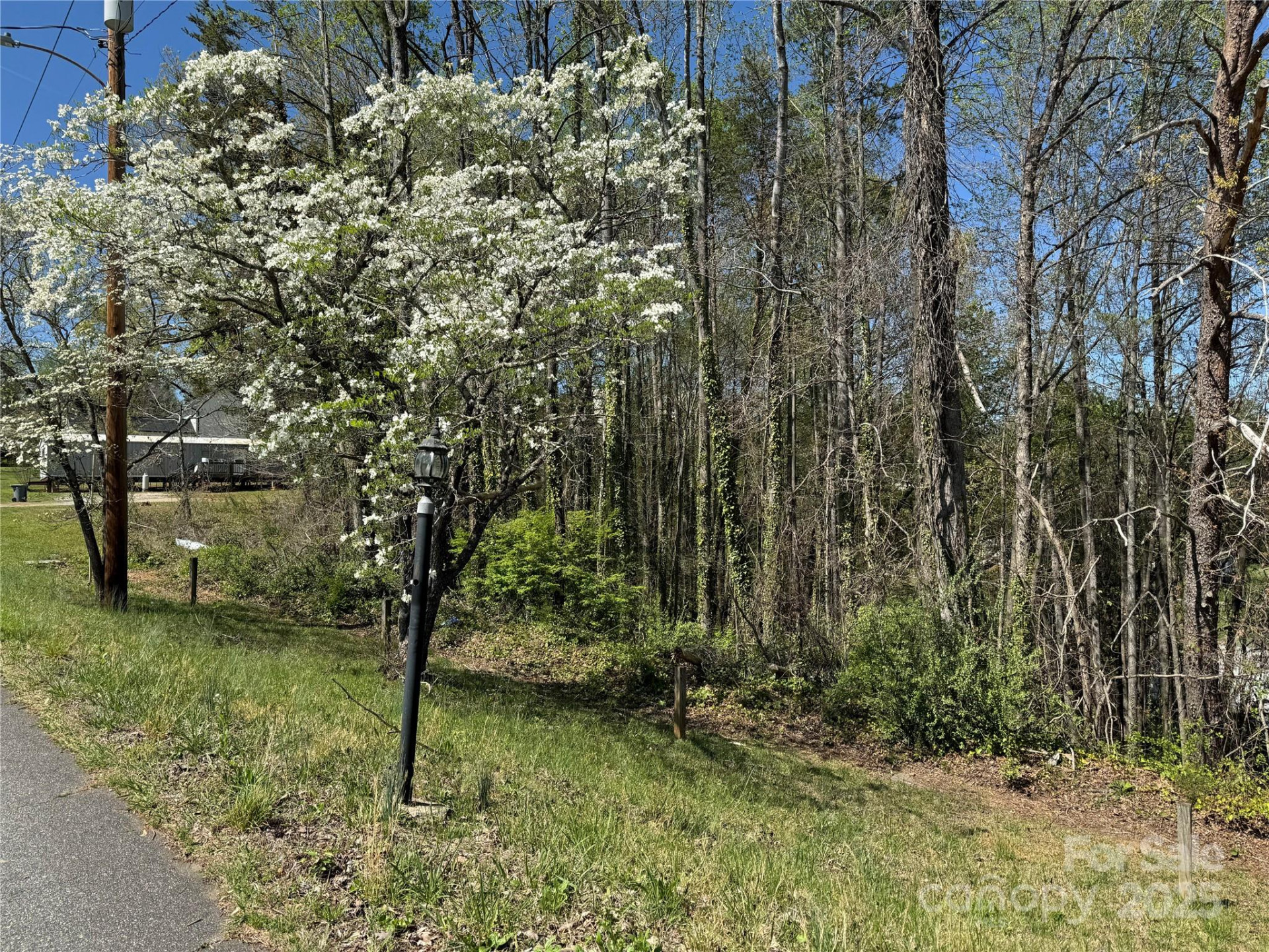 12 Hoyle Street #12 - Photo 8