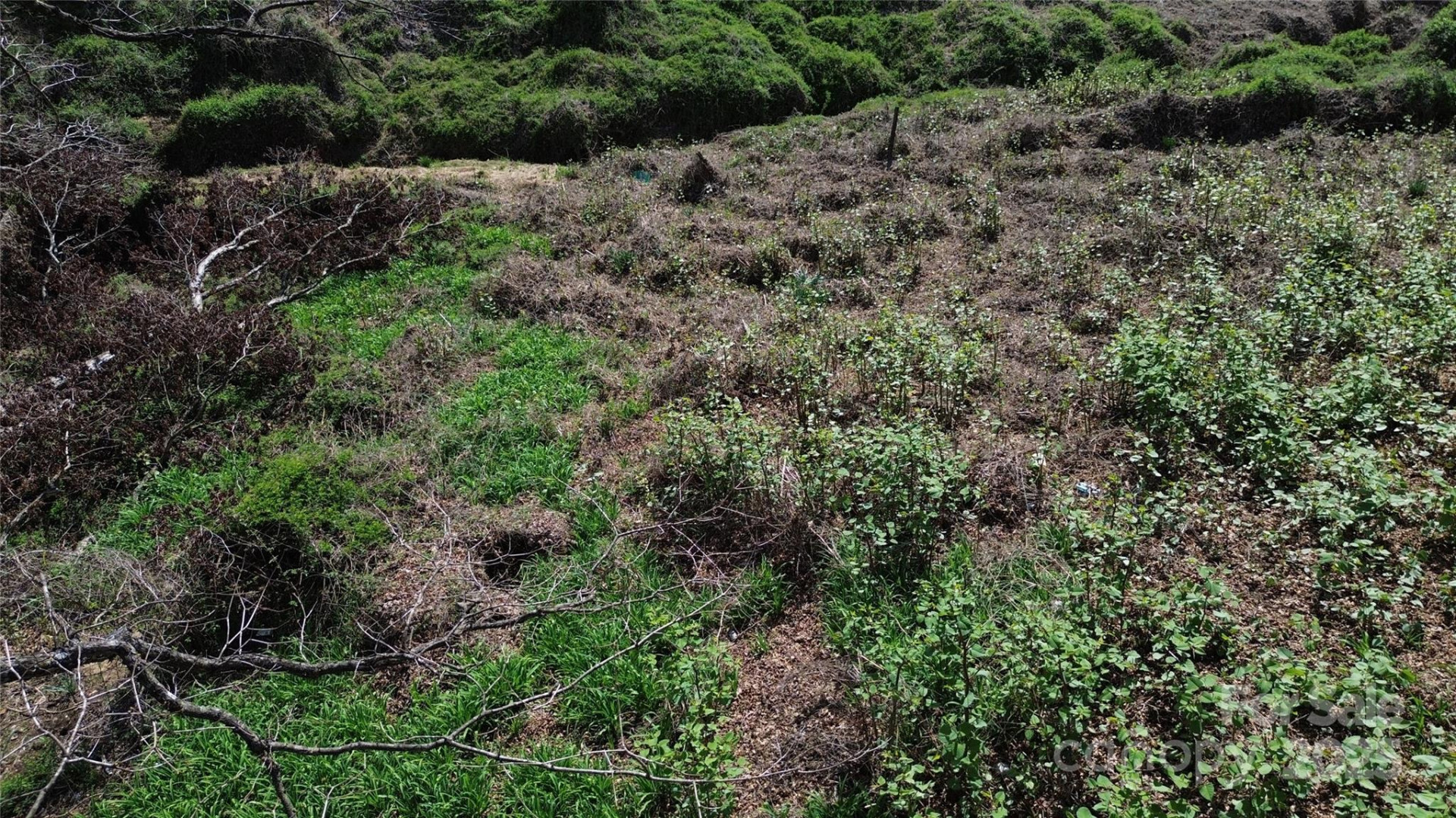 99999 Thole Street - Photo 4