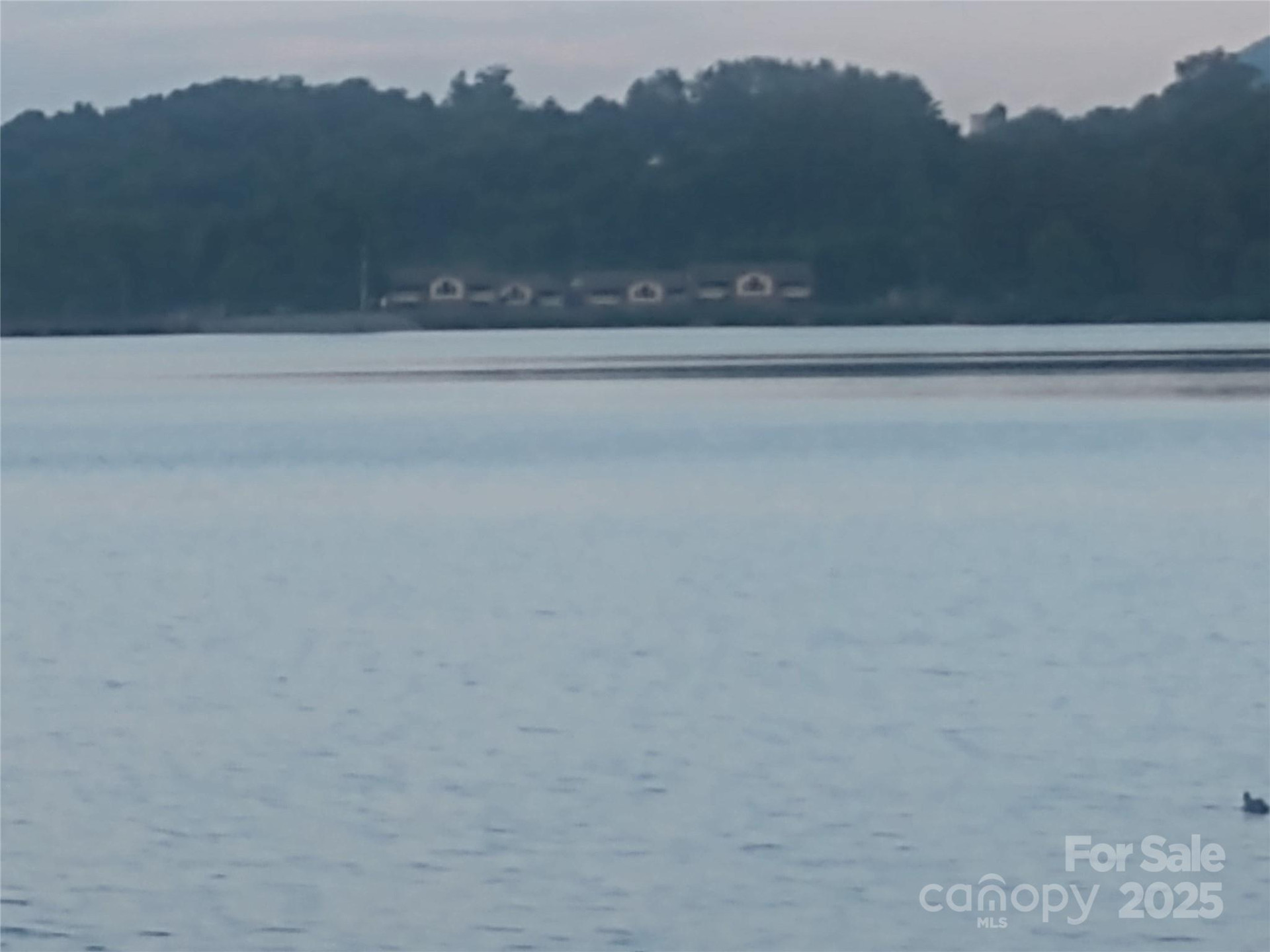 1465 Lakeshore Drive #D1 - Photo 25