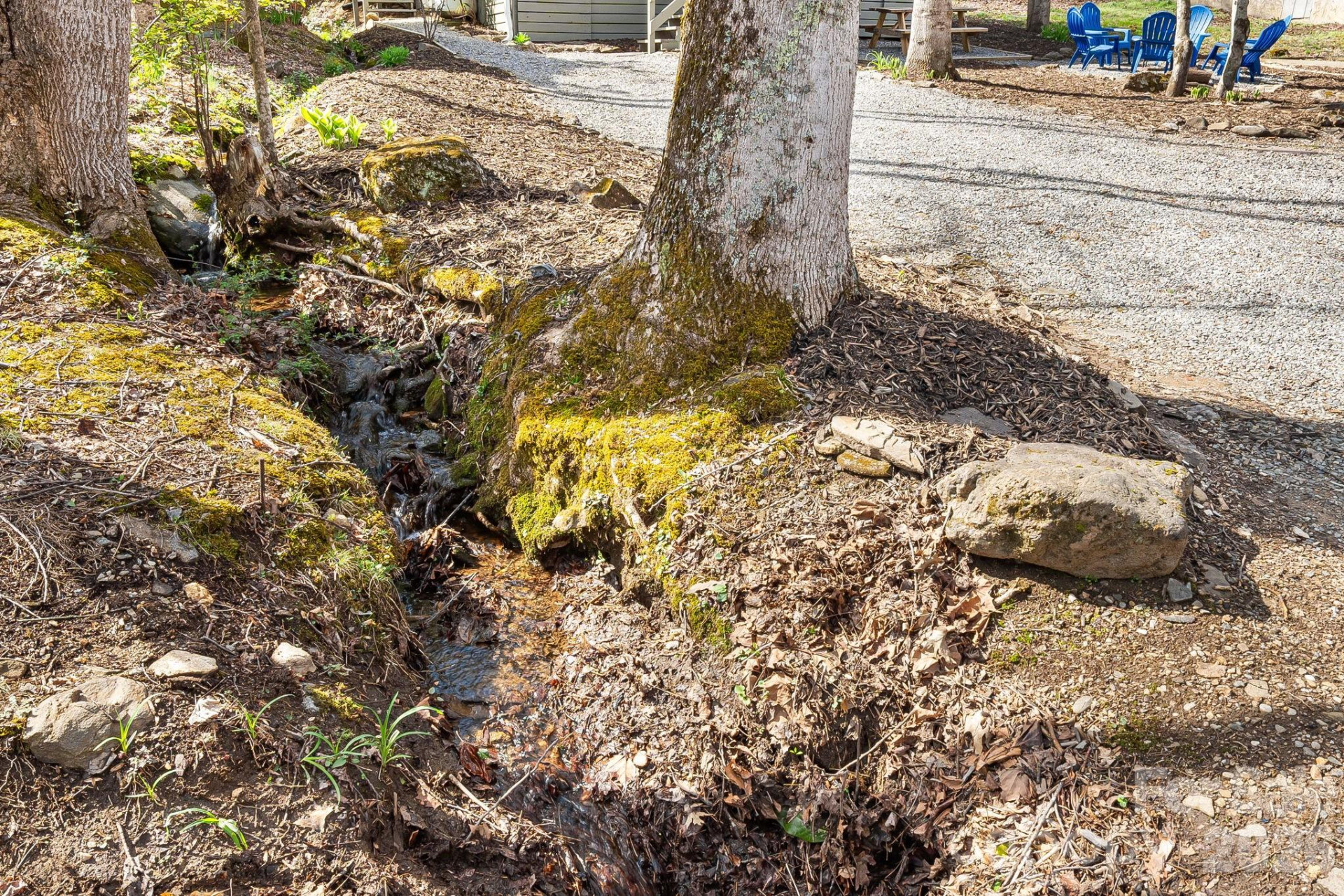 21 Susan Drive - Photo 4