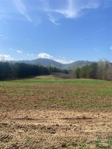 0 Cane Creek Mountain Road, Bostic, NC, 28018