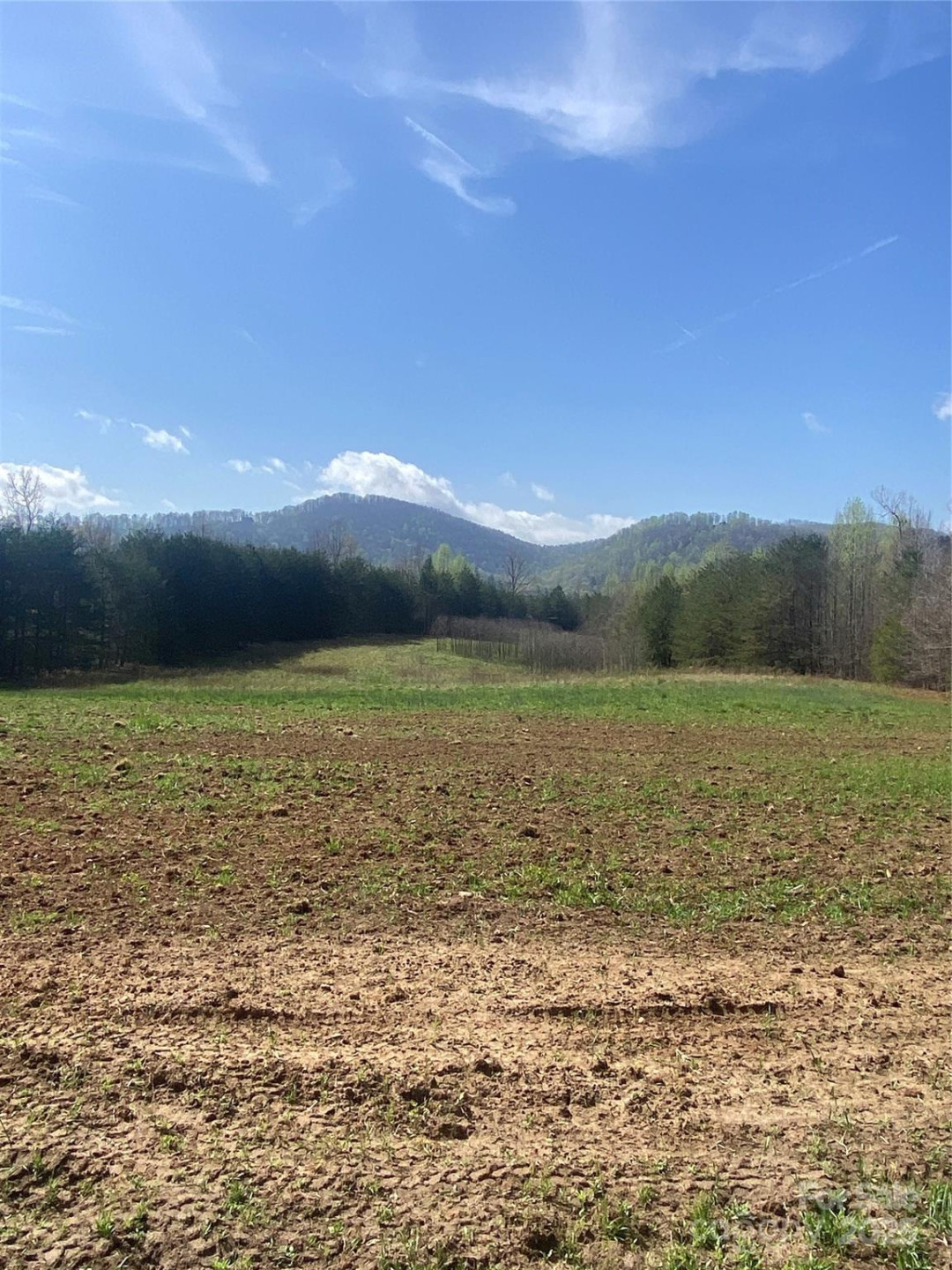 0 Cane Creek Mountain Road