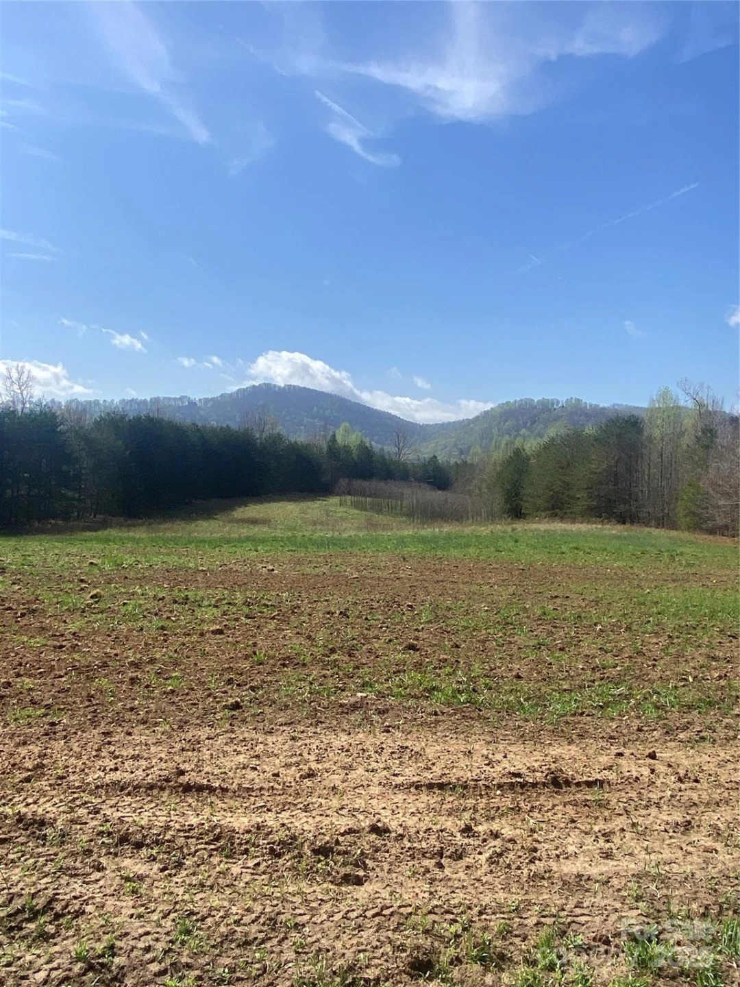 0 Cane Creek Mountain Road