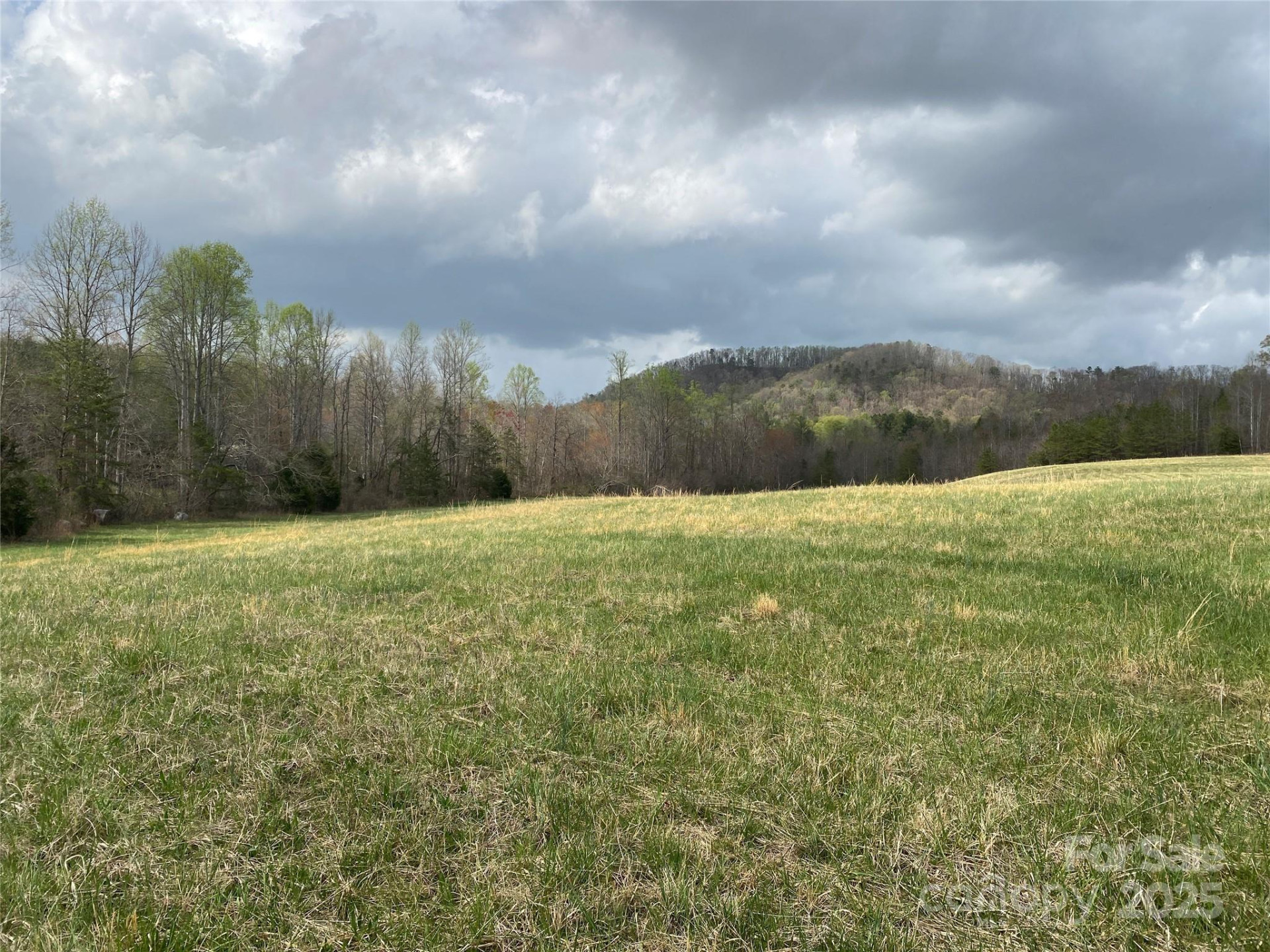 0 Cane Creek Mountain Road - Photo 2