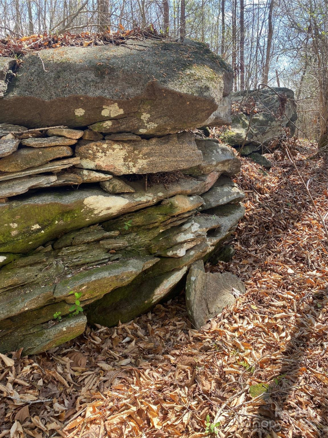 0 Cane Creek Mountain Road - Photo 11