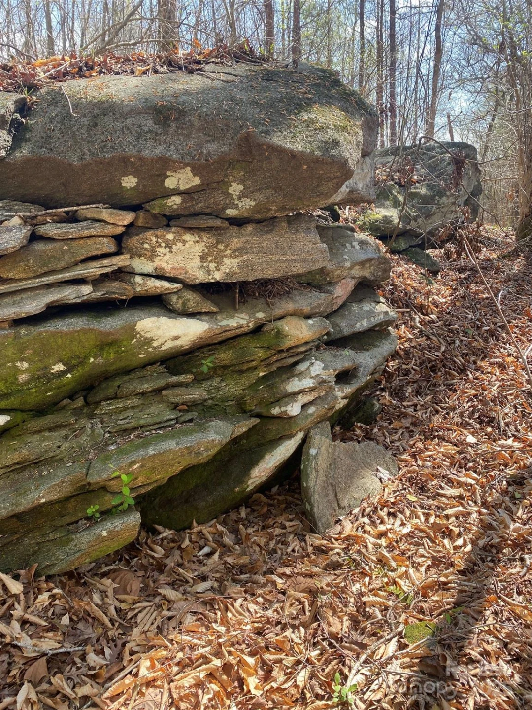 0 Cane Creek Mountain Road - Photo 11