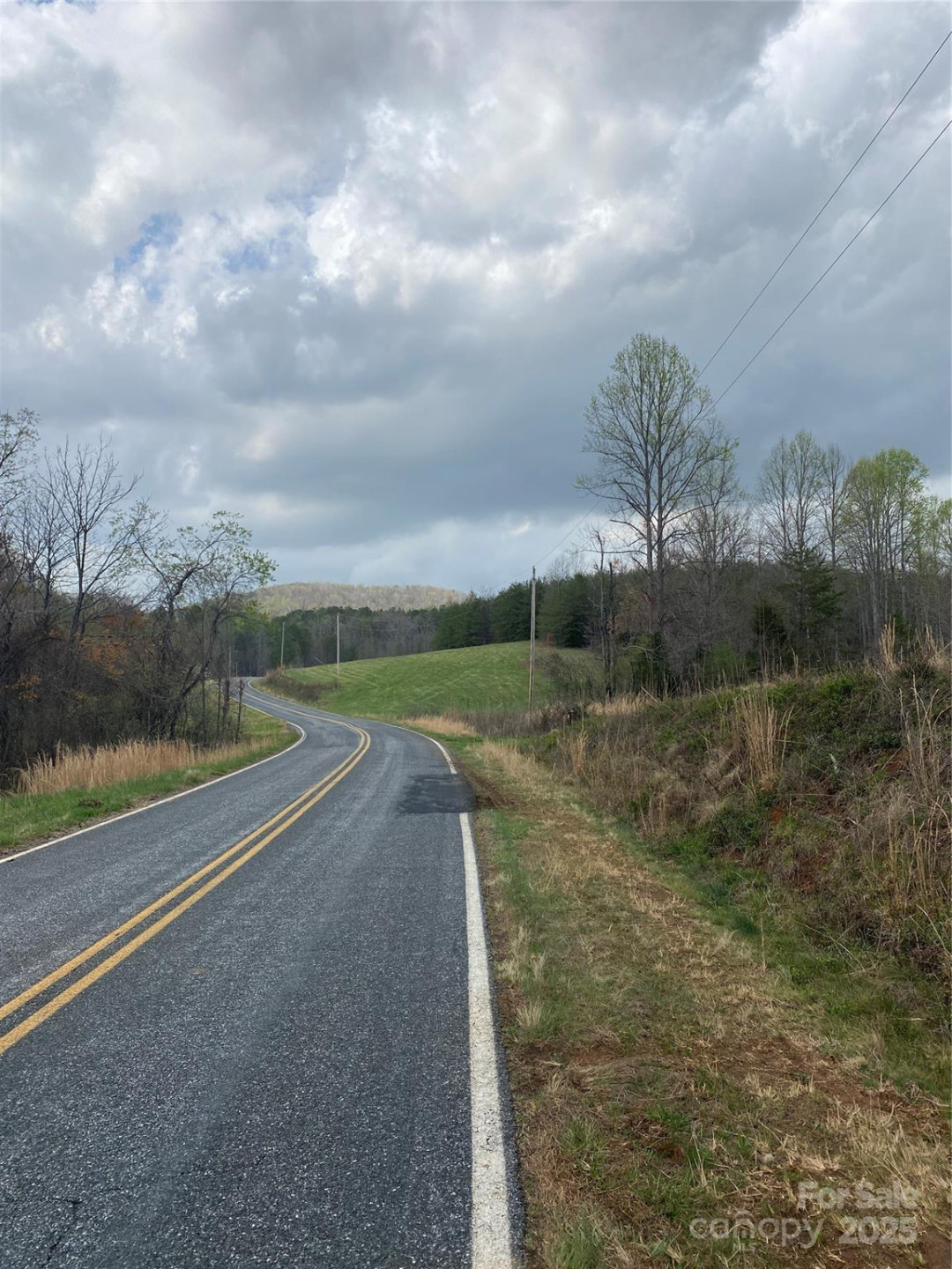0 Cane Creek Mountain Road - Photo 12