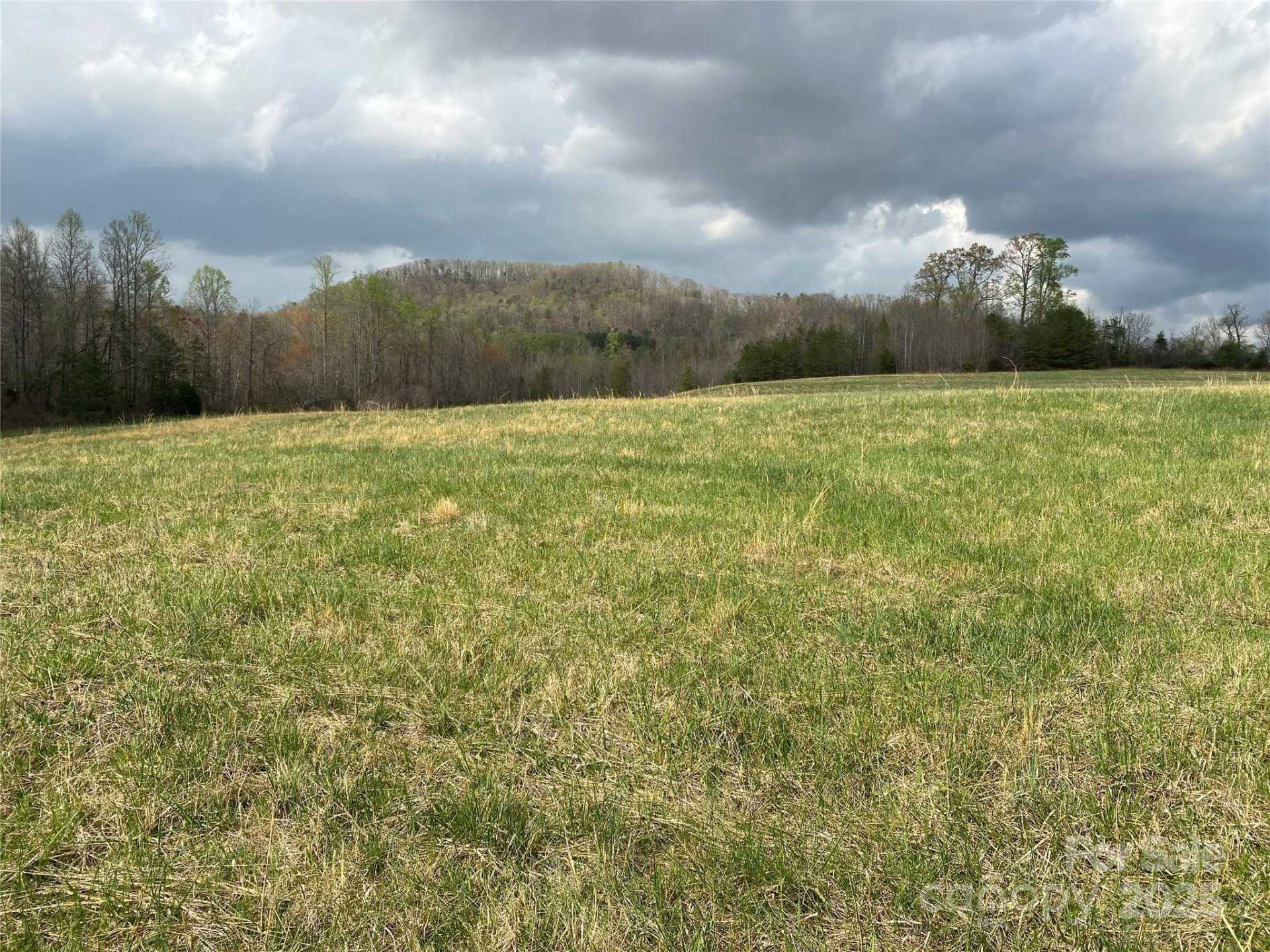 0 Cane Creek Mountain Road - Photo 14