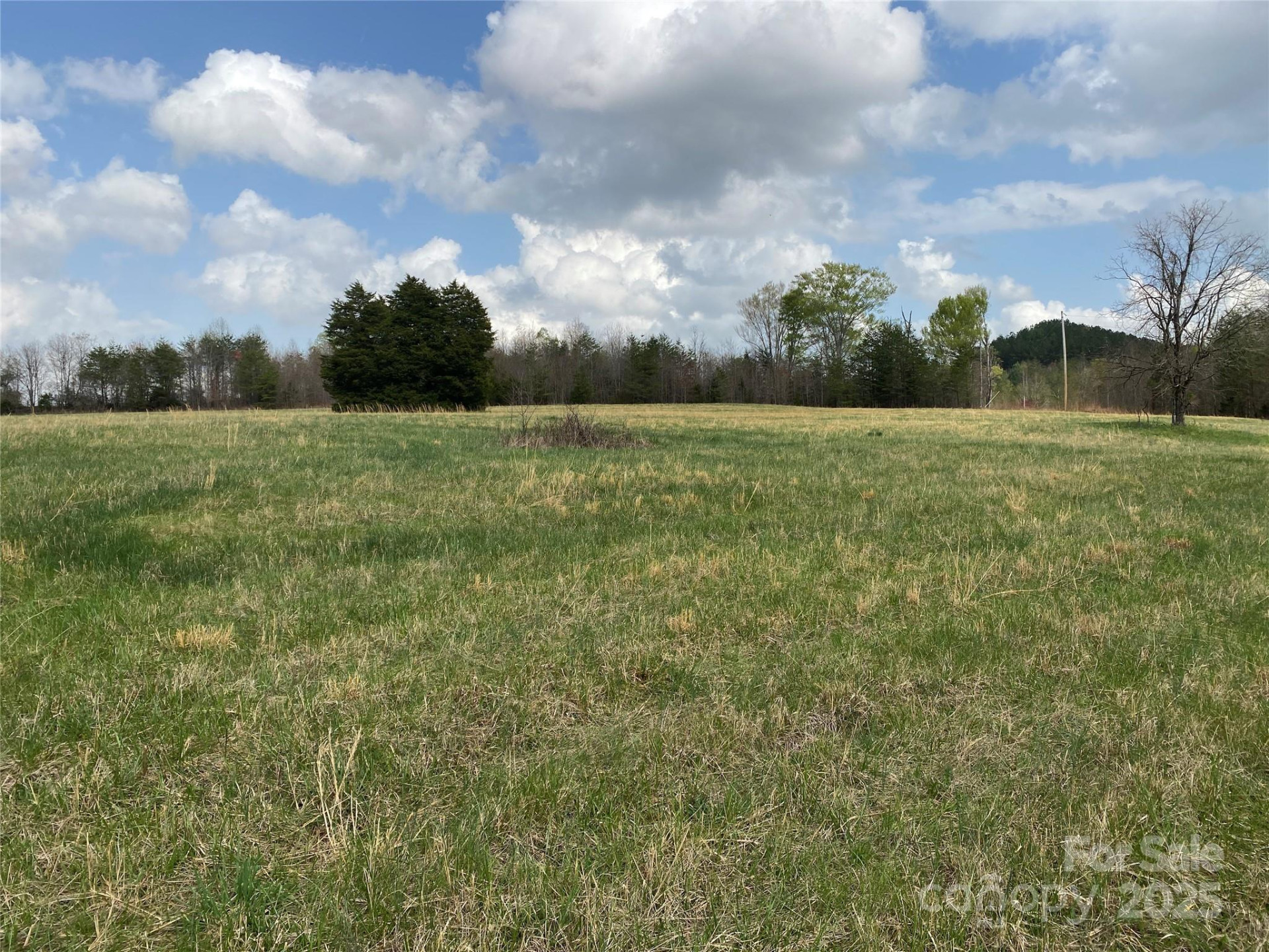 0 Cane Creek Mountain Road - Photo 15