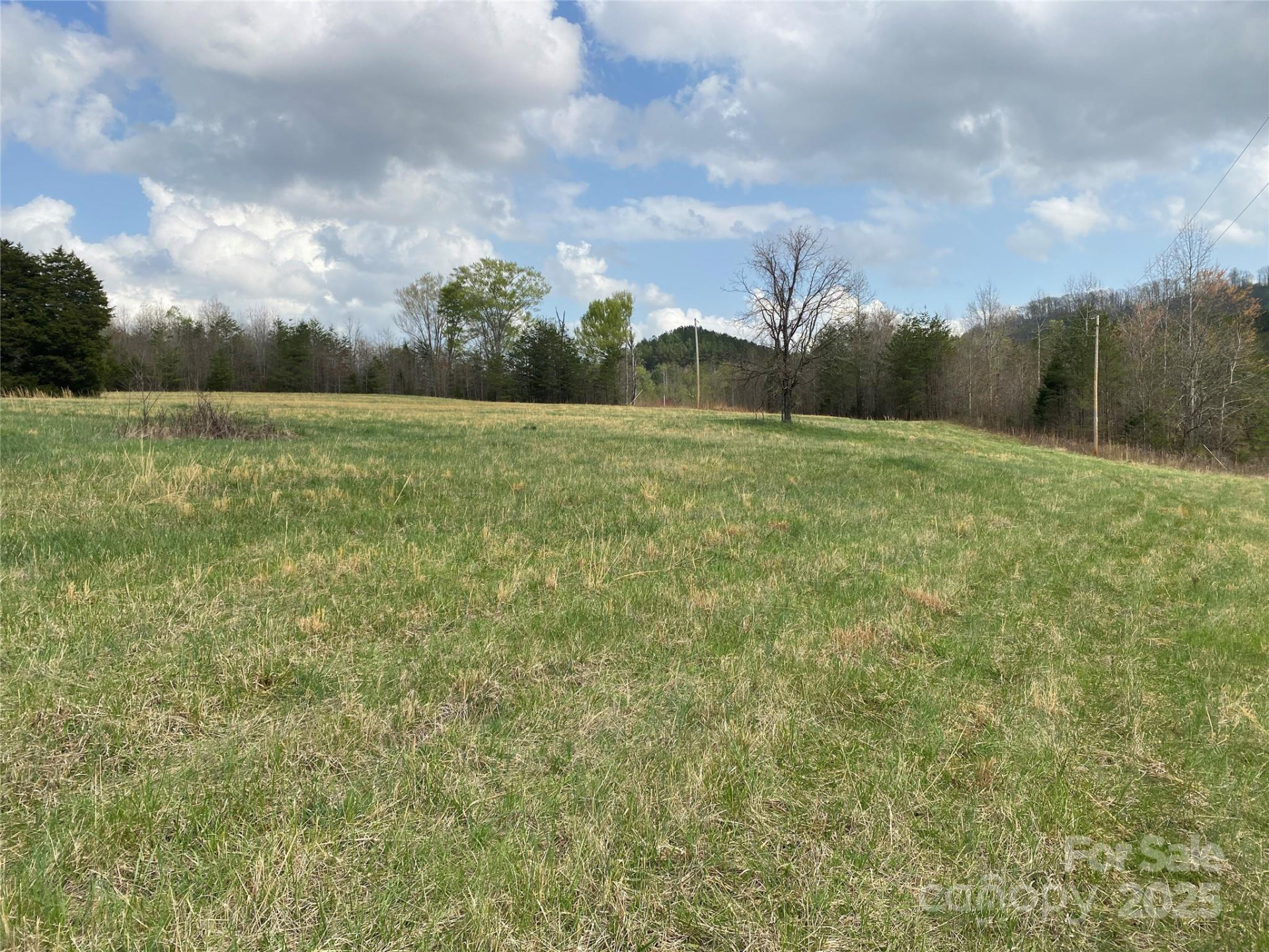 0 Cane Creek Mountain Road - Photo 16