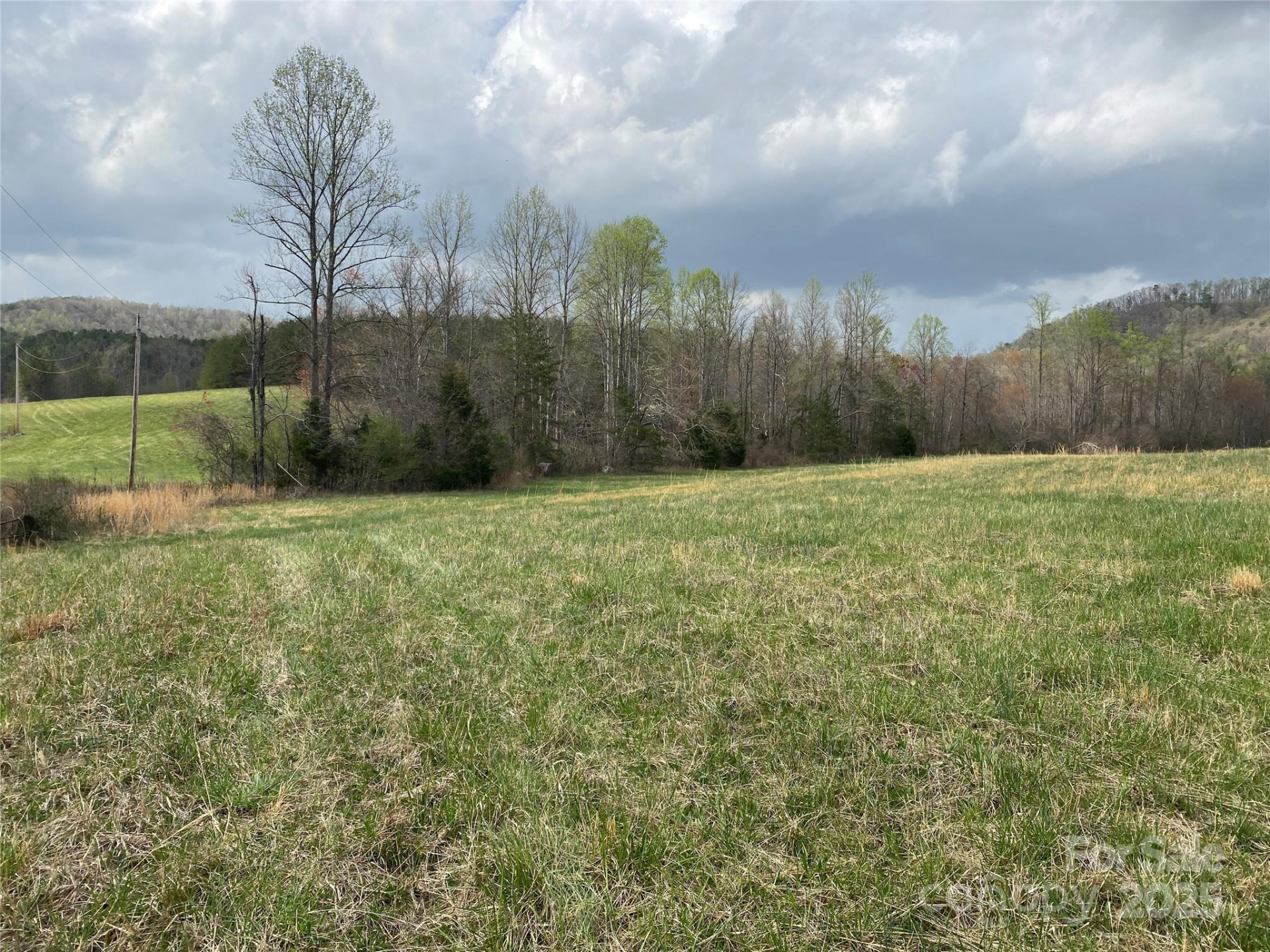 0 Cane Creek Mountain Road - Photo 17
