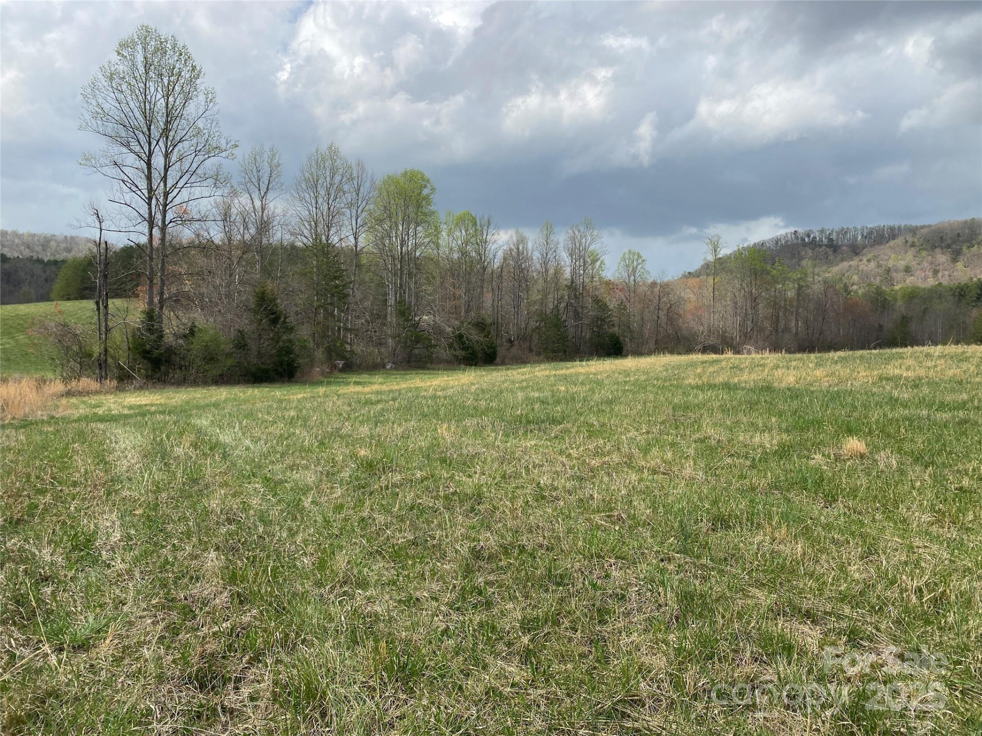 0 Cane Creek Mountain Road - Photo 18