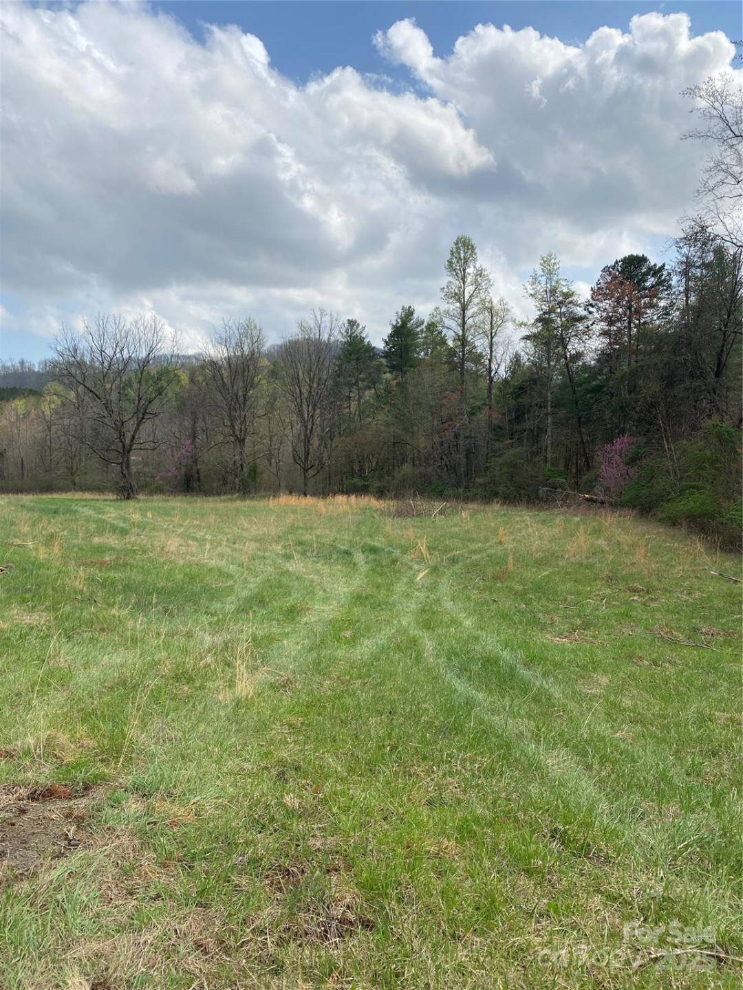 0 Cane Creek Mountain Road - Photo 19
