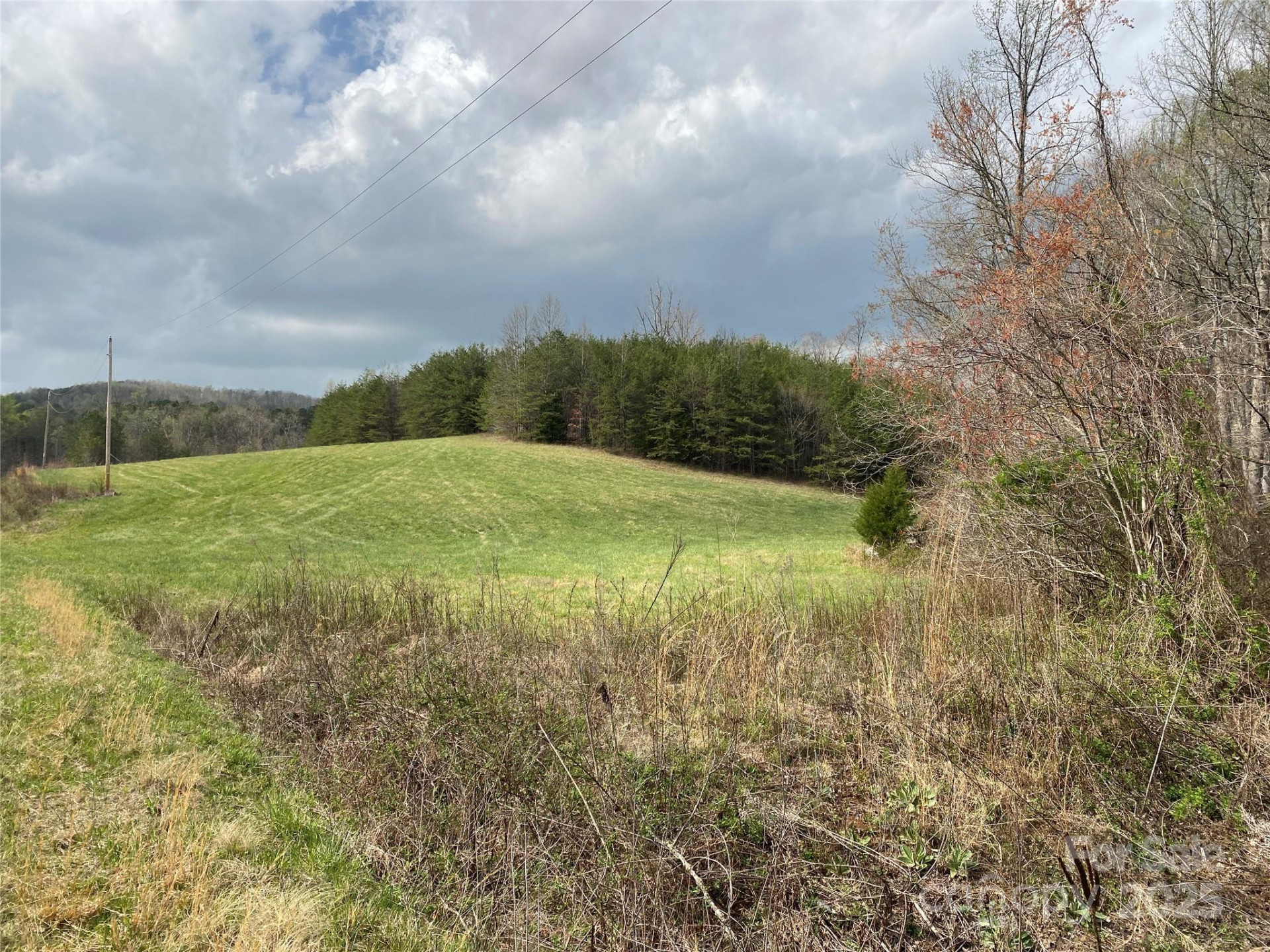0 Cane Creek Mountain Road - Photo 20