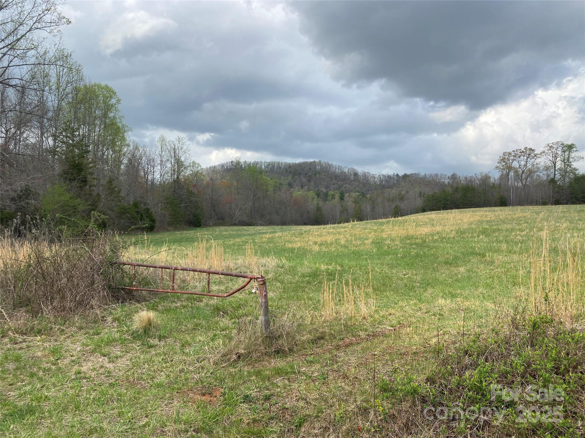 0 Cane Creek Mountain Road - Photo 3