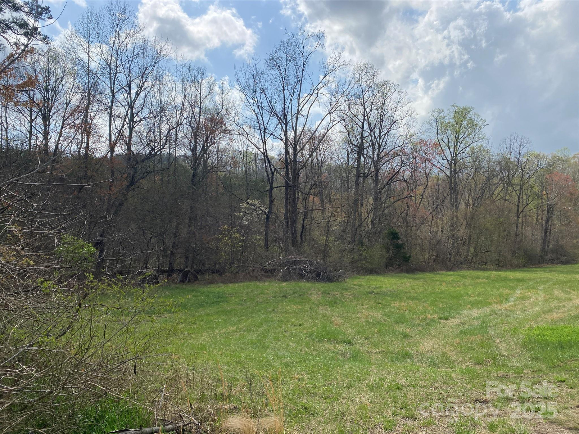 0 Cane Creek Mountain Road - Photo 21
