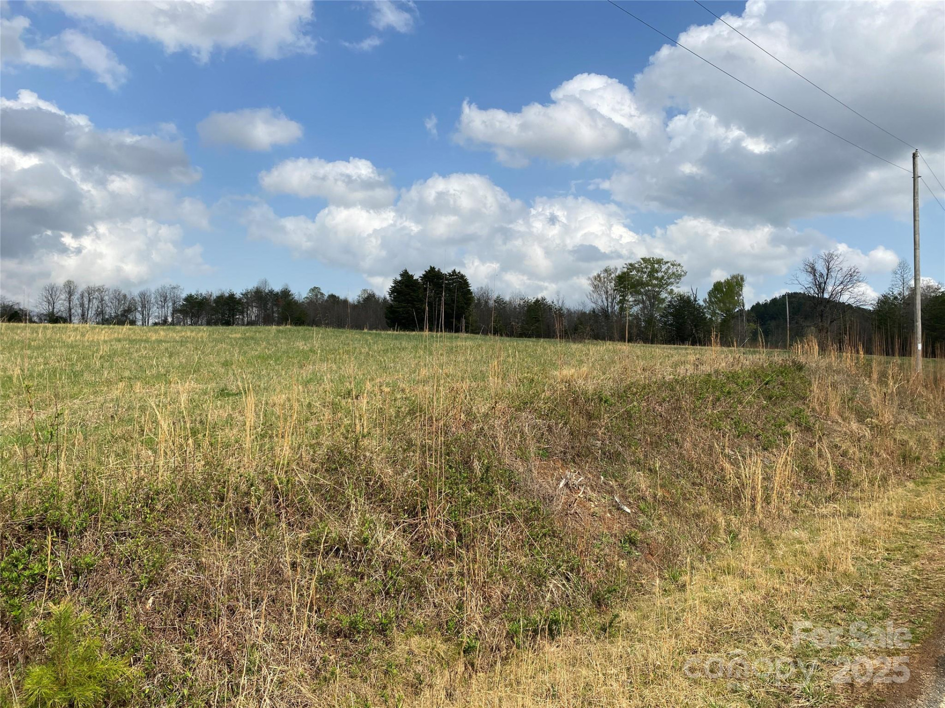 0 Cane Creek Mountain Road - Photo 22