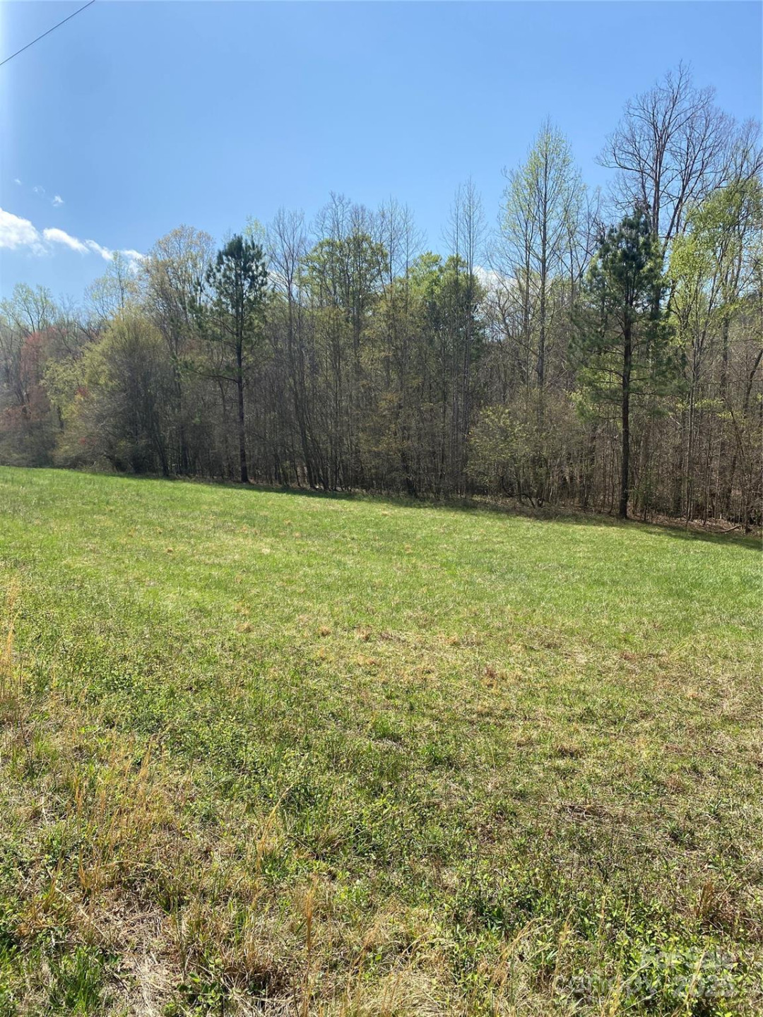 0 Cane Creek Mountain Road - Photo 28