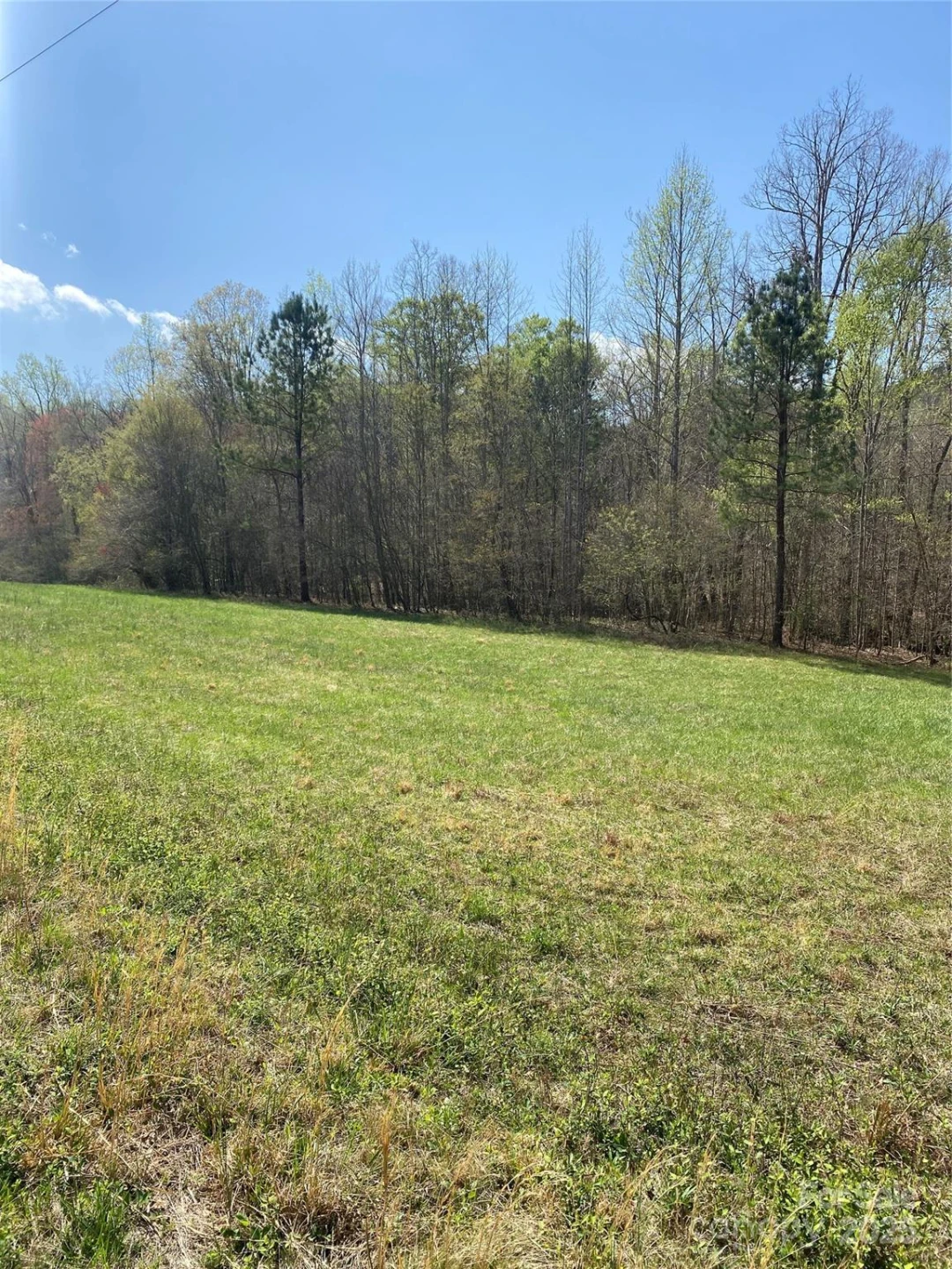 0 Cane Creek Mountain Road - Photo 28