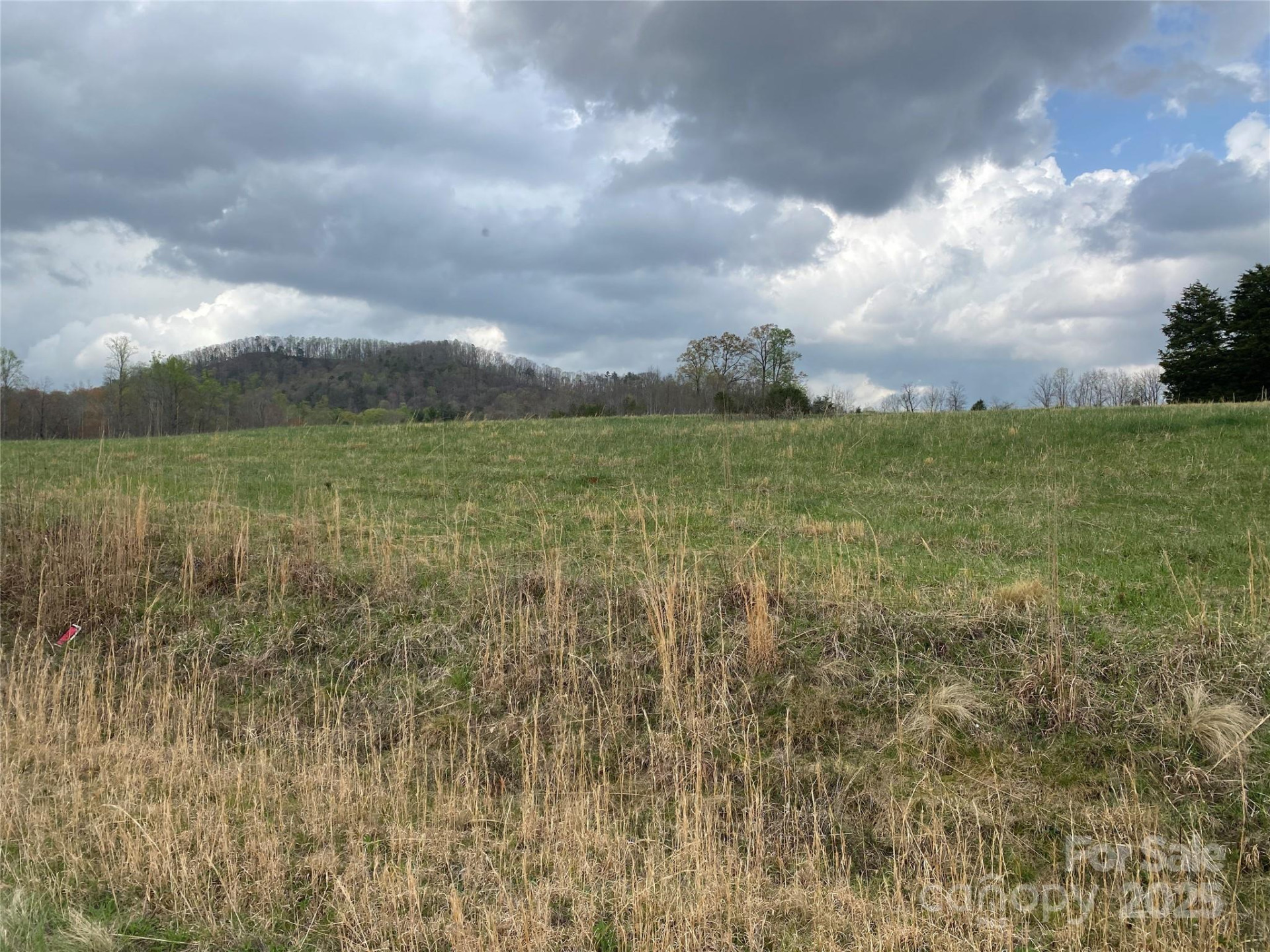 0 Cane Creek Mountain Road - Photo 4