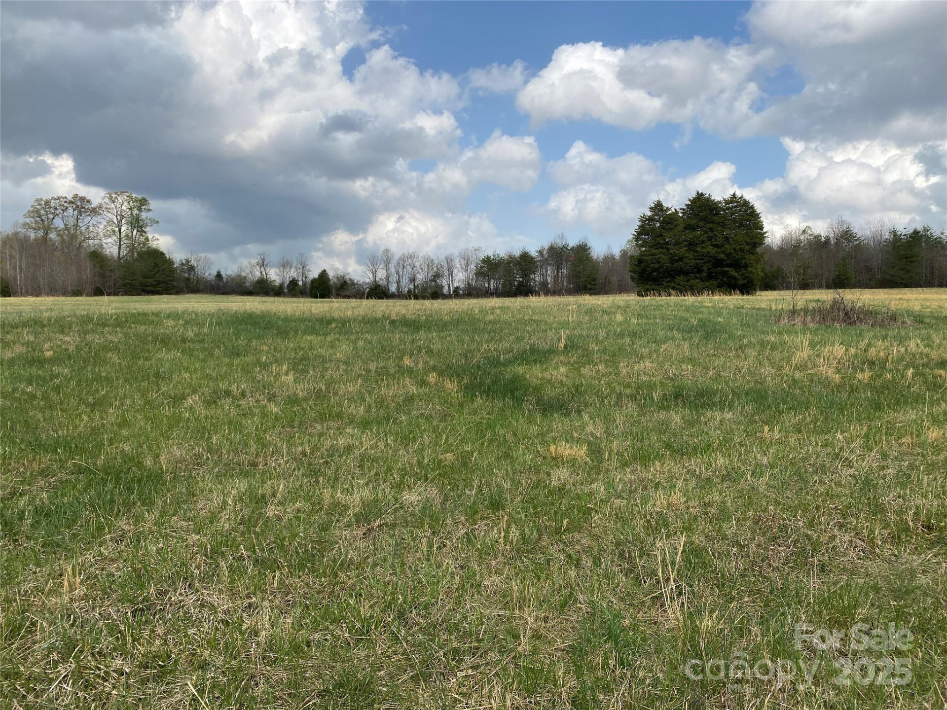 0 Cane Creek Mountain Road - Photo 5