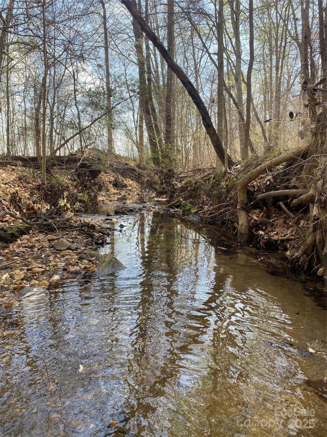 0 Cane Creek Mountain Road - Photo 7