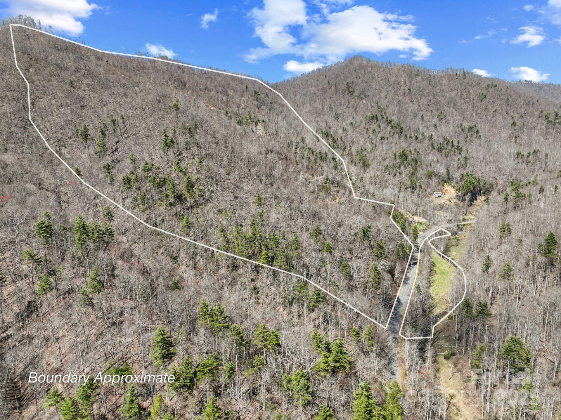 902 Spillcorn Road - Photo 2