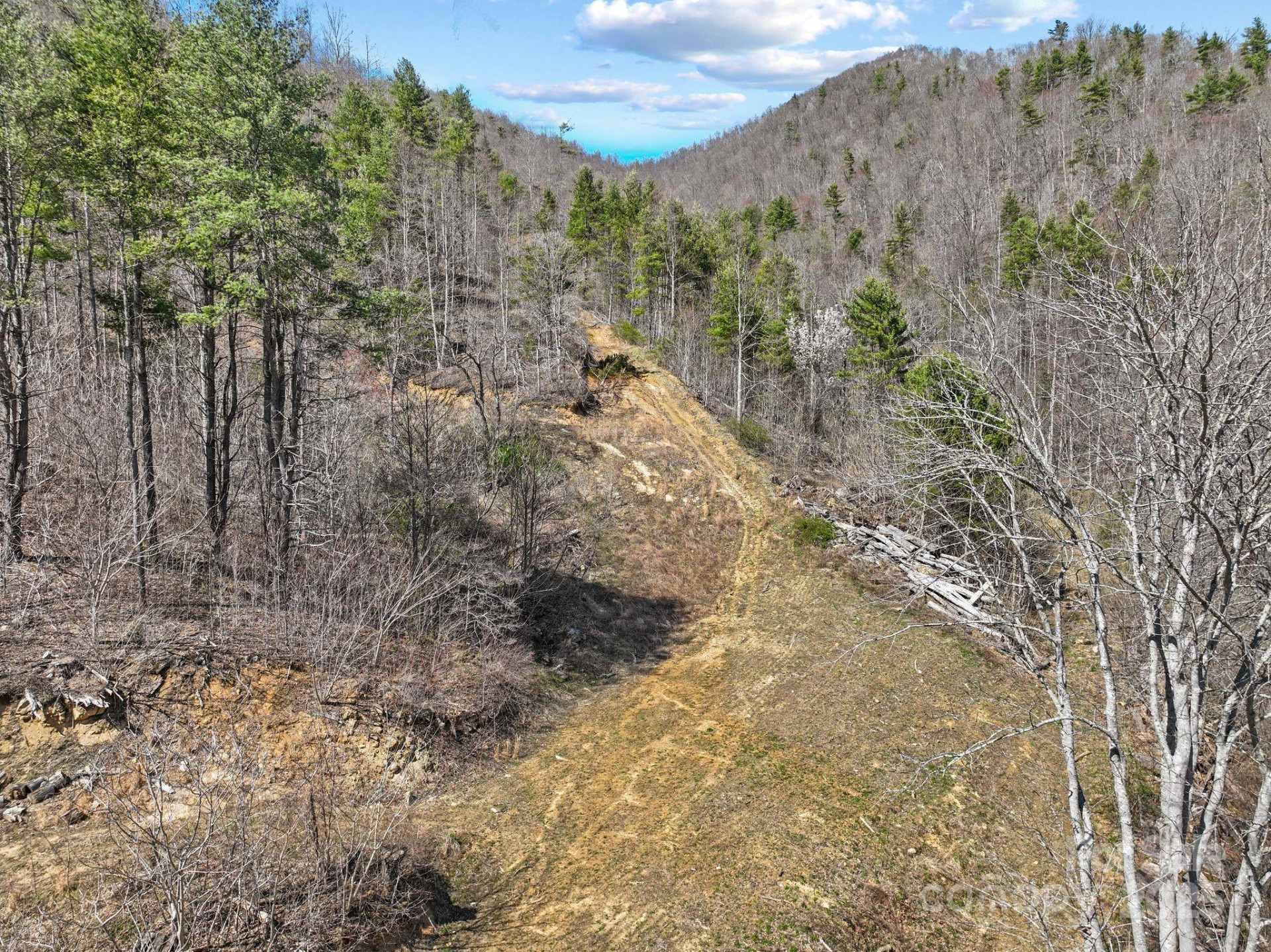 902 Spillcorn Road - Photo 12