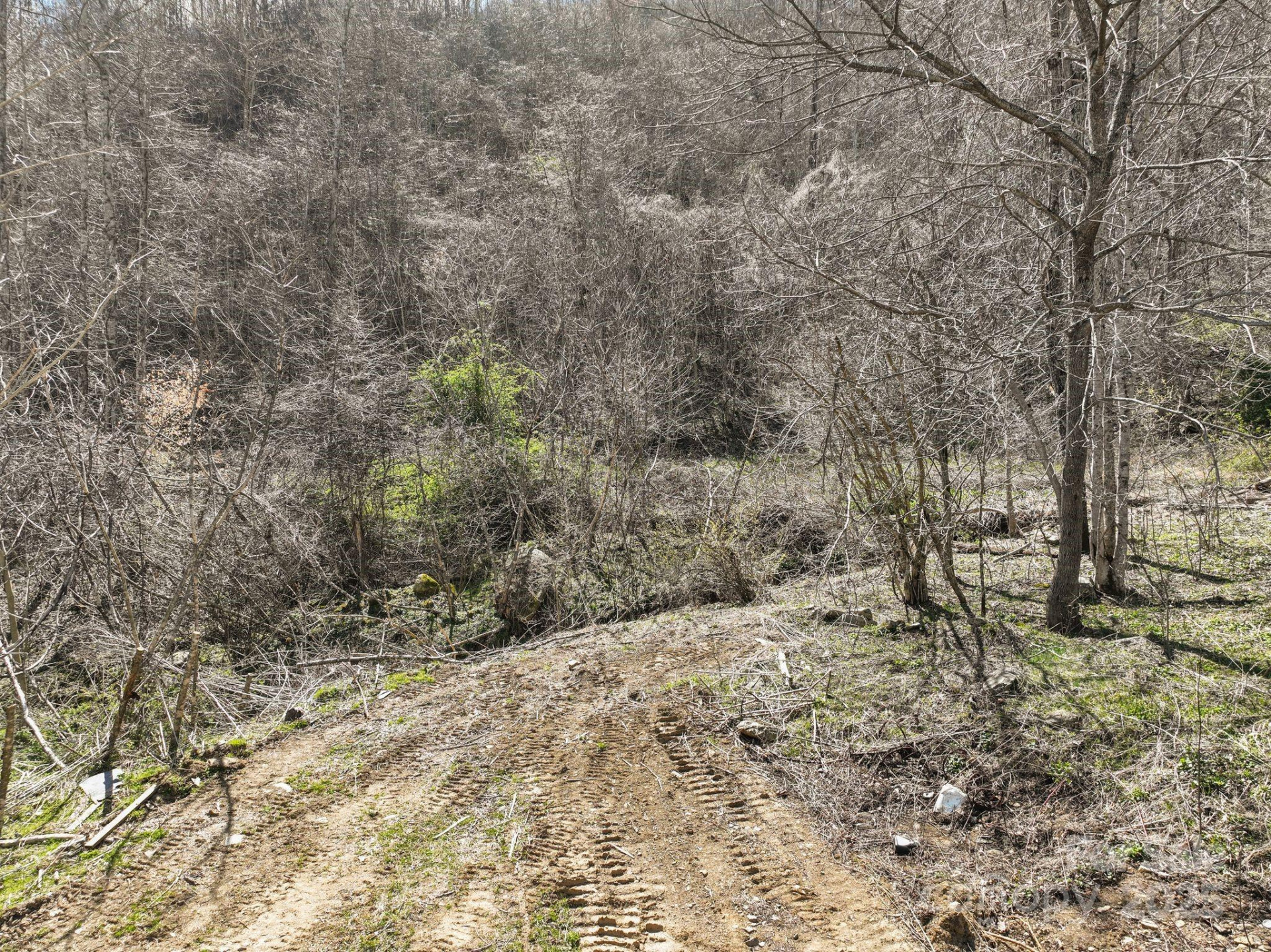 902 Spillcorn Road - Photo 14