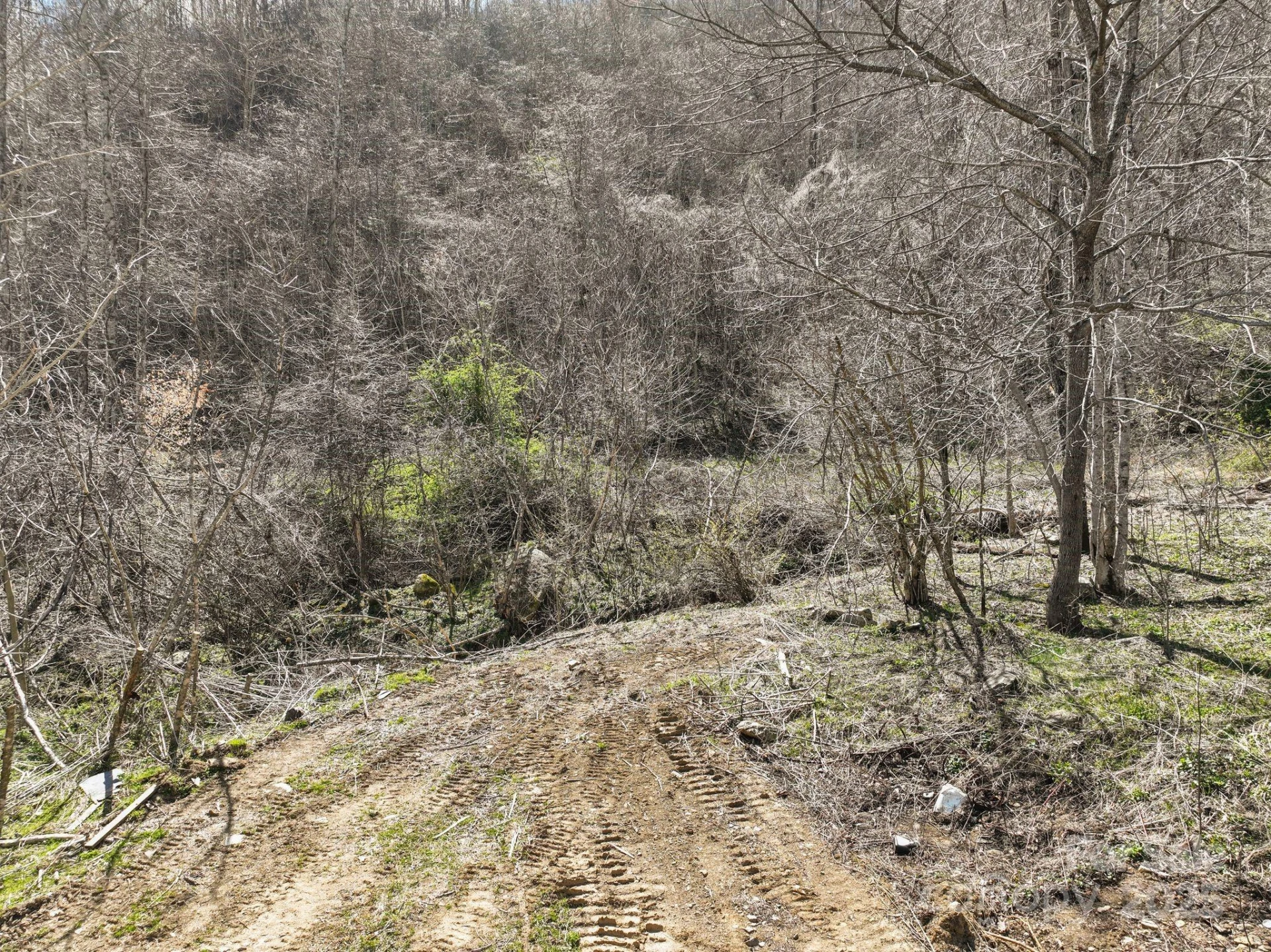 902 Spillcorn Road - Photo 14